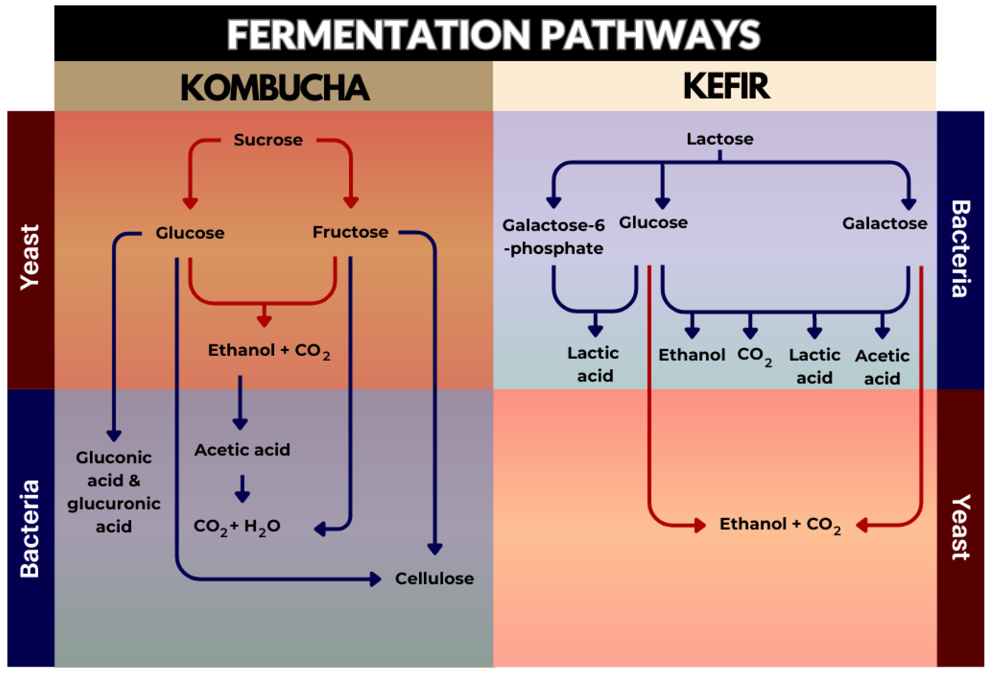 Microorganisms 11 01344 g002 Microorganisms 11 01344 g002