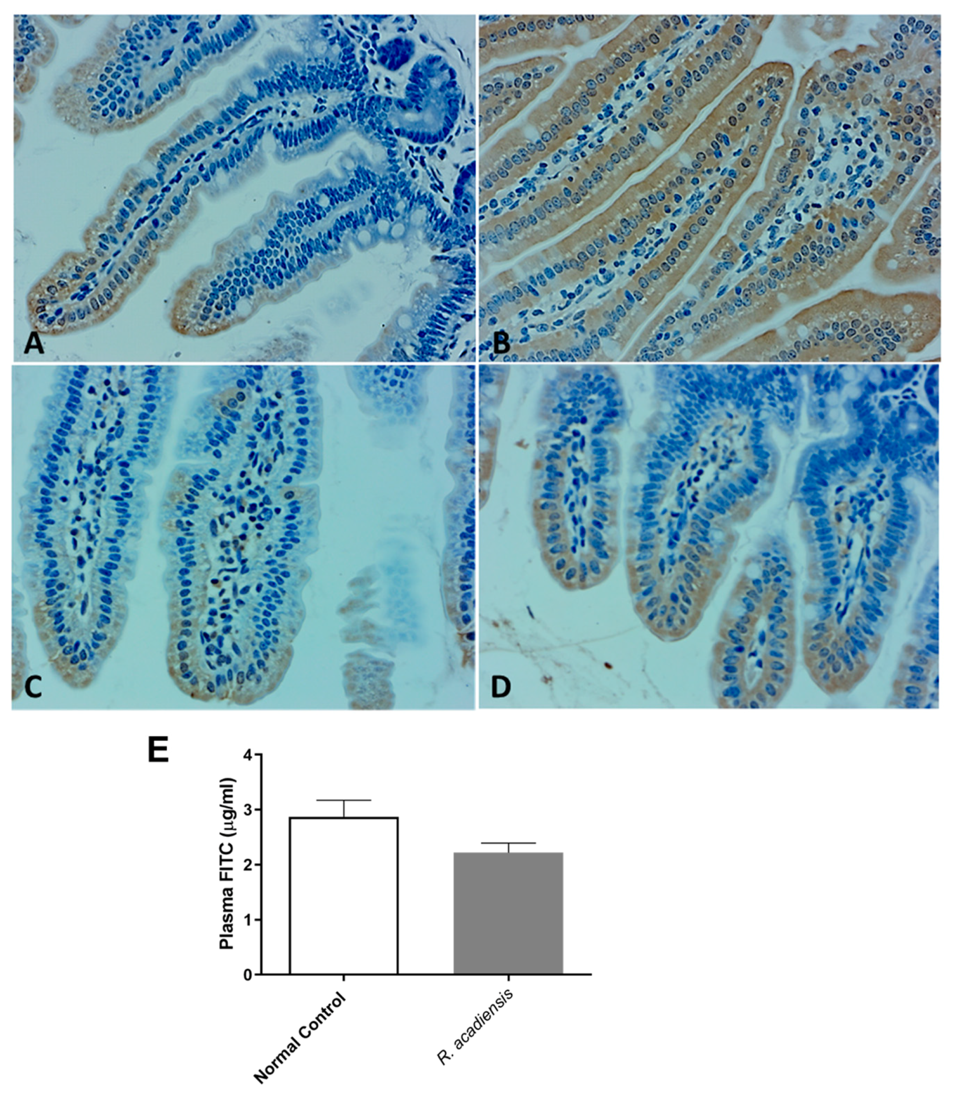 Microorganisms 11 01347 g004 Microorganisms 11 01347 g004