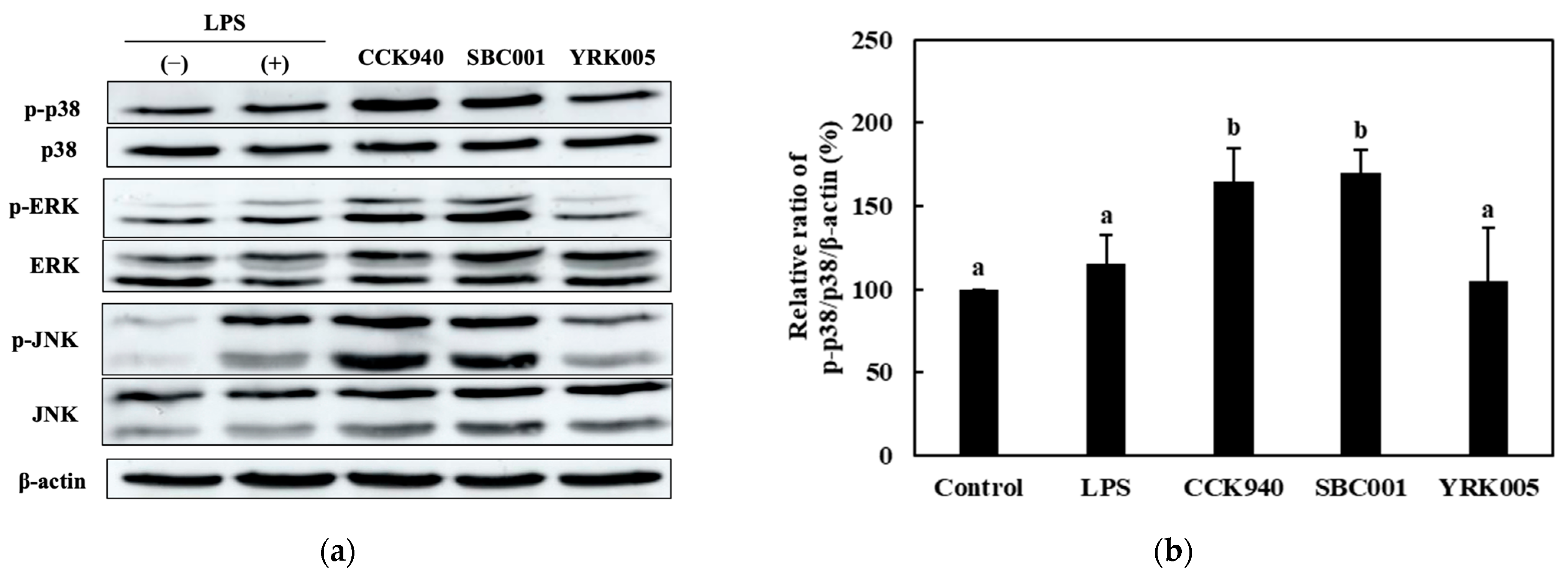 Microorganisms 11 01354 g004a