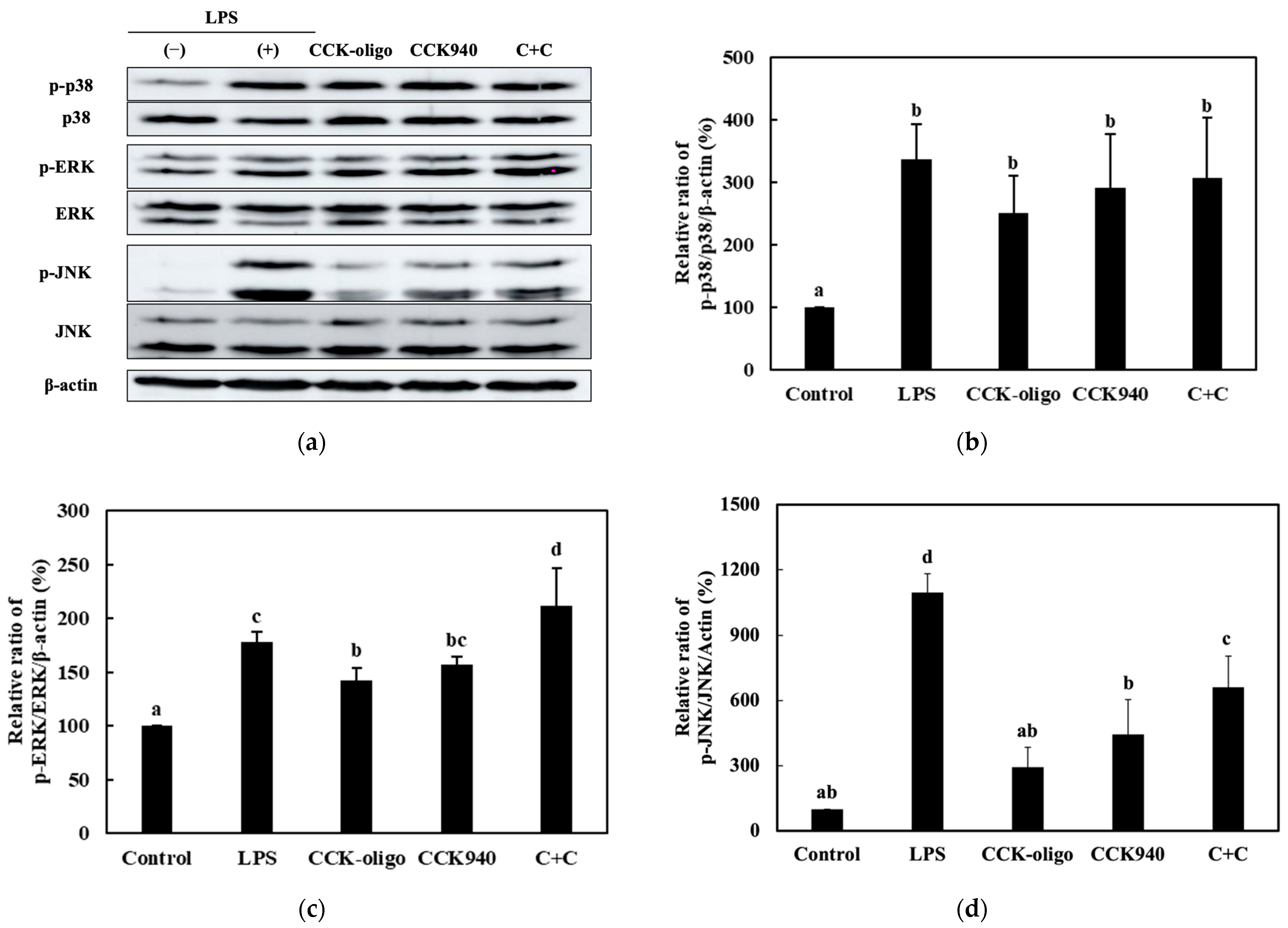 Microorganisms 11 01354 g012