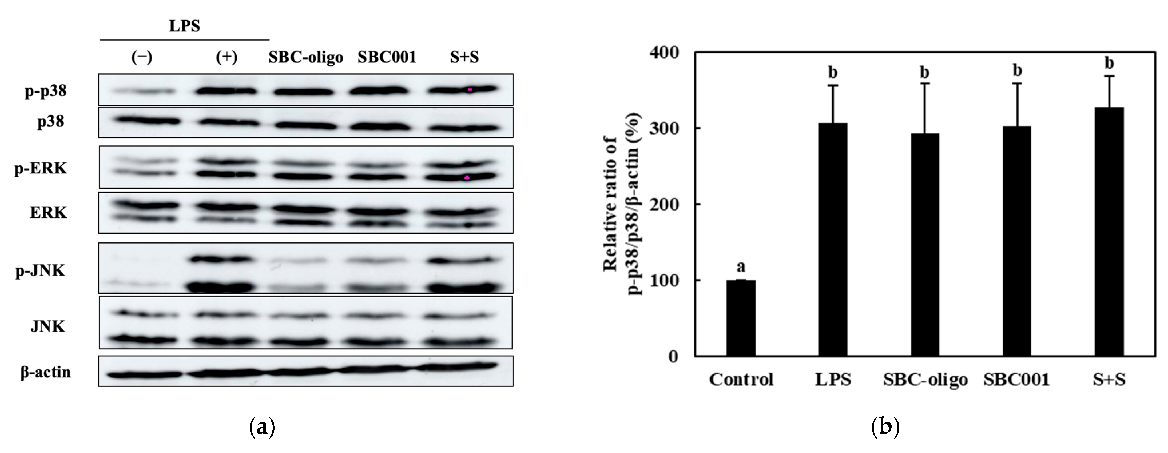 Microorganisms 11 01354 g013a