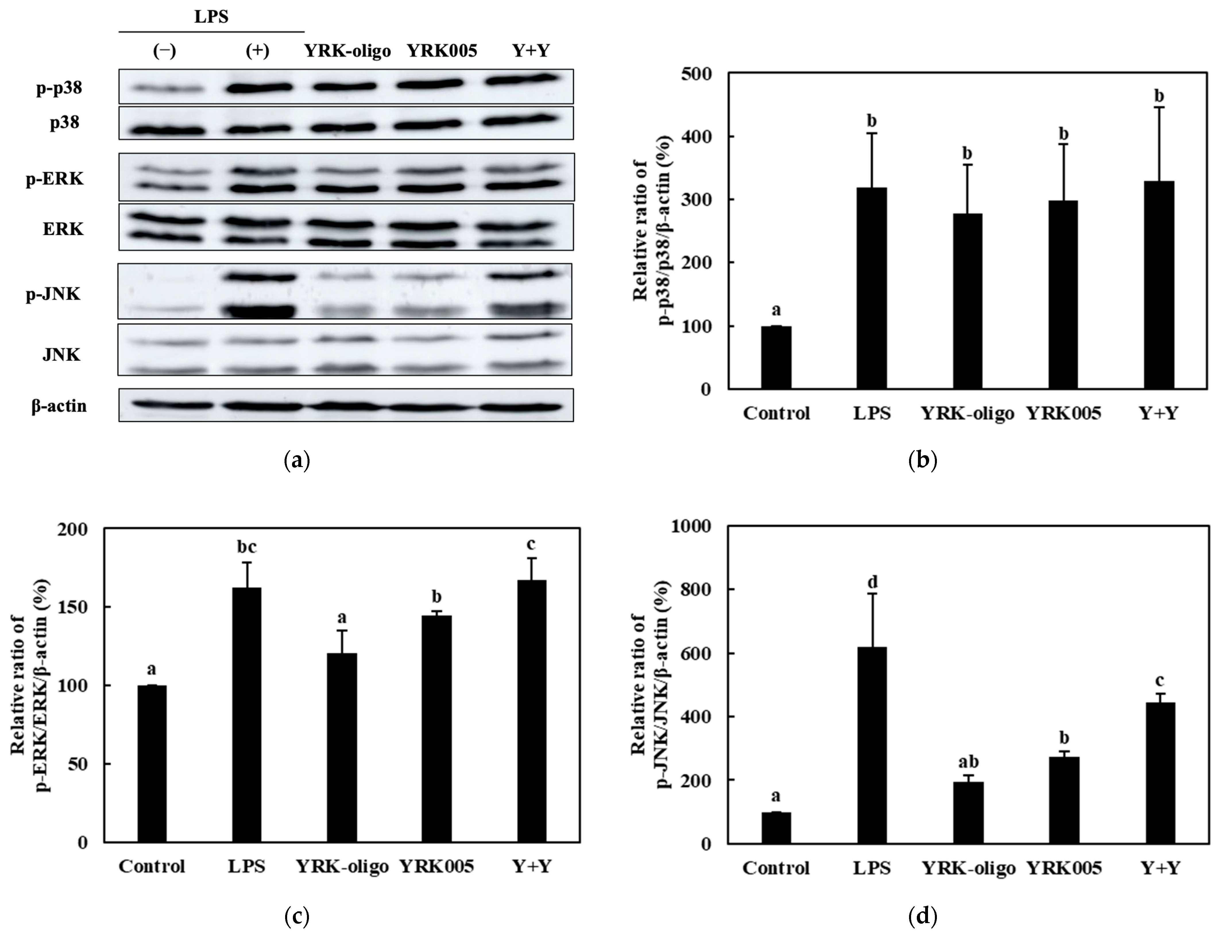 Microorganisms 11 01354 g014