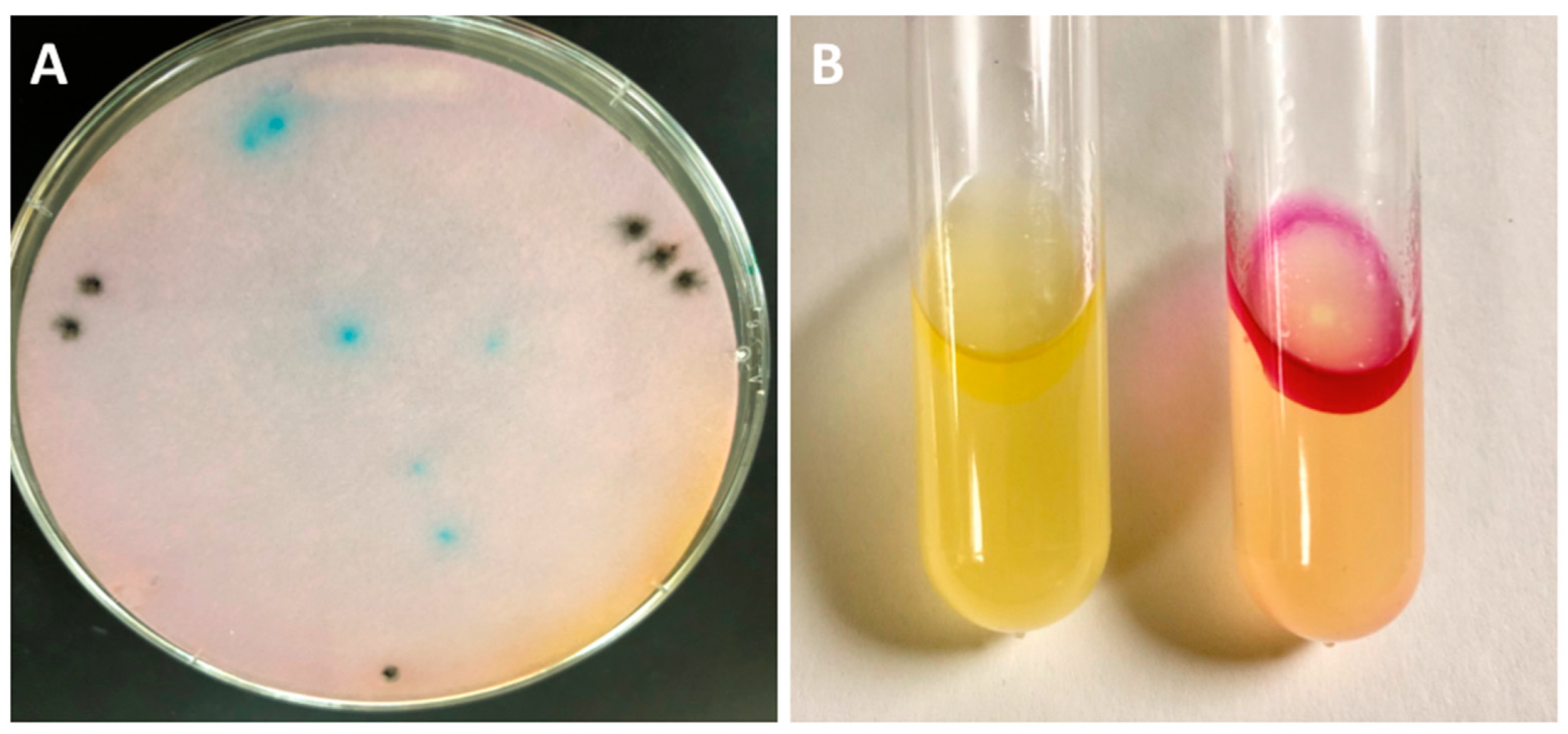 Microorganisms 11 01355 g002