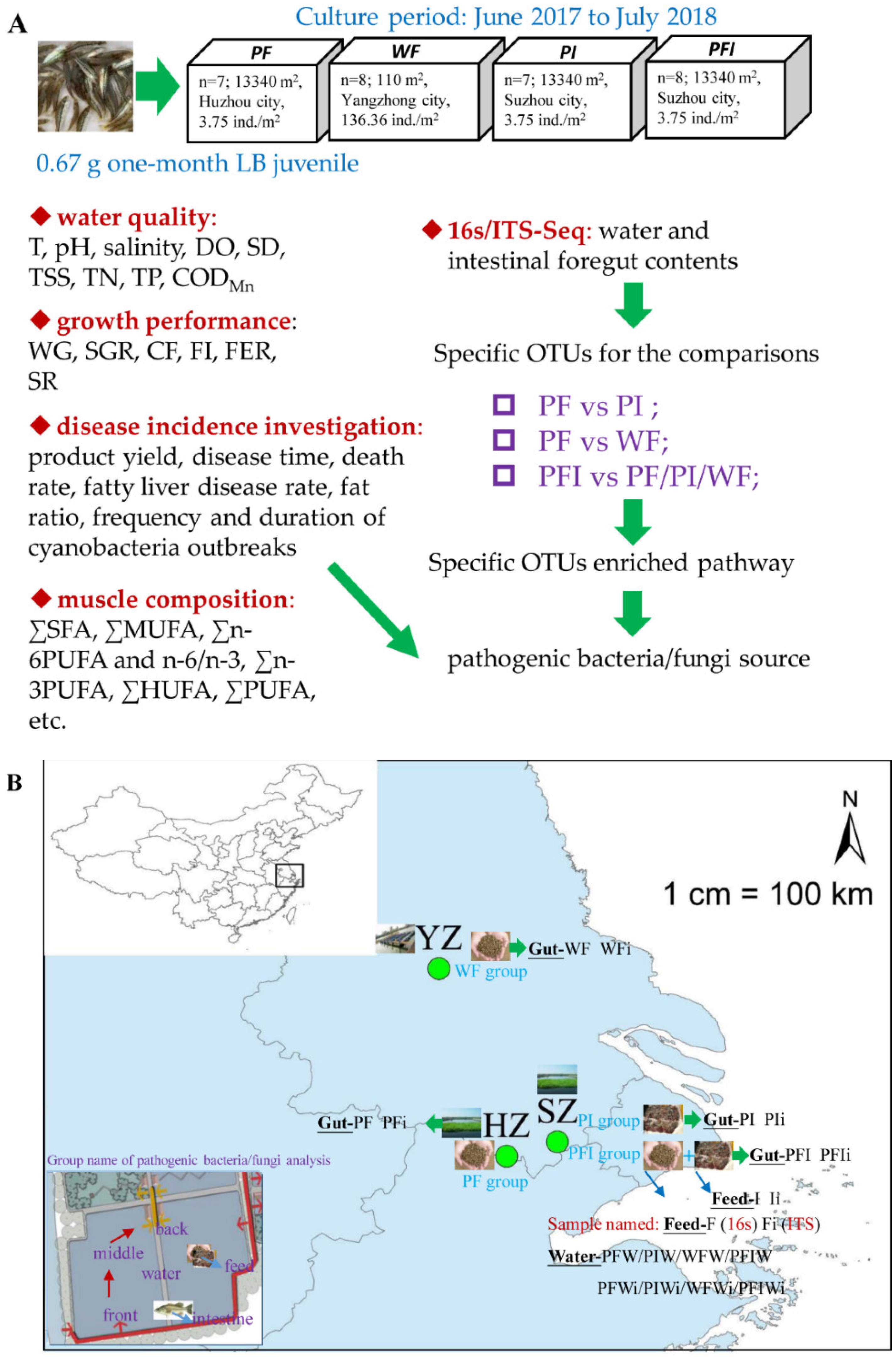 Microorganisms 11 01356 g001 Microorganisms 11 01356 g001