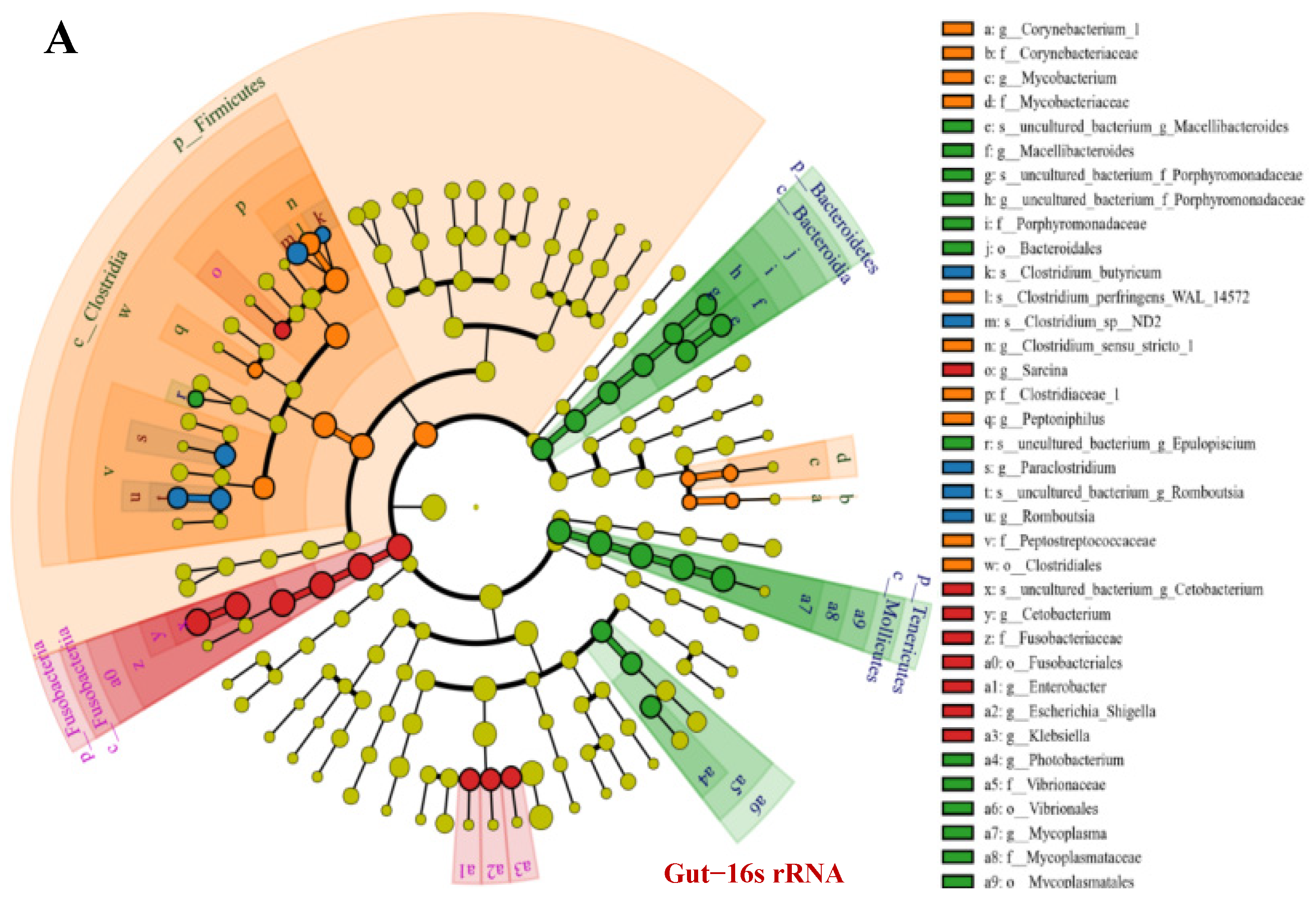 Microorganisms 11 01356 g003a Microorganisms 11 01356 g003a