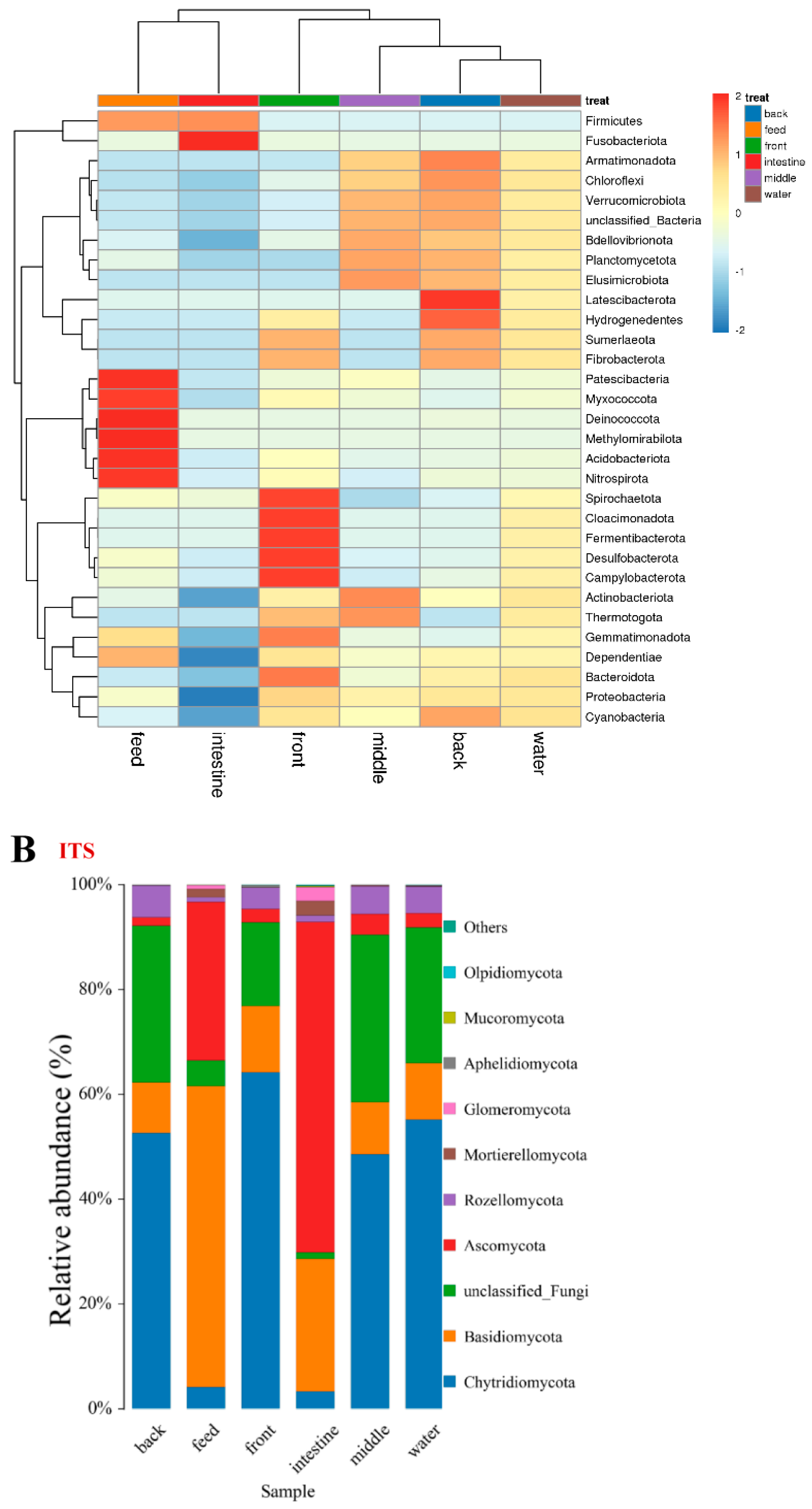 Microorganisms 11 01356 g006b Microorganisms 11 01356 g006b