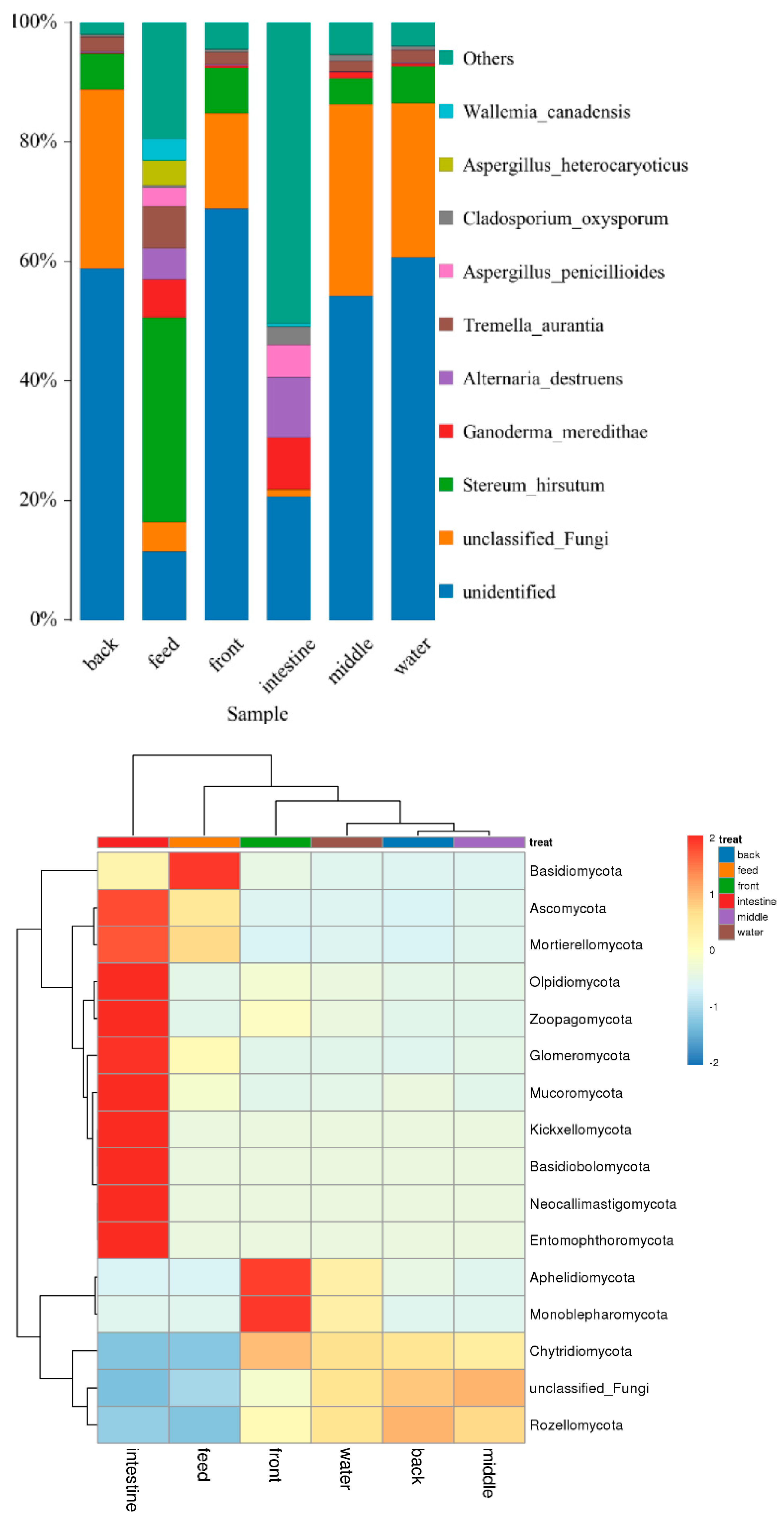 Microorganisms 11 01356 g006c Microorganisms 11 01356 g006c