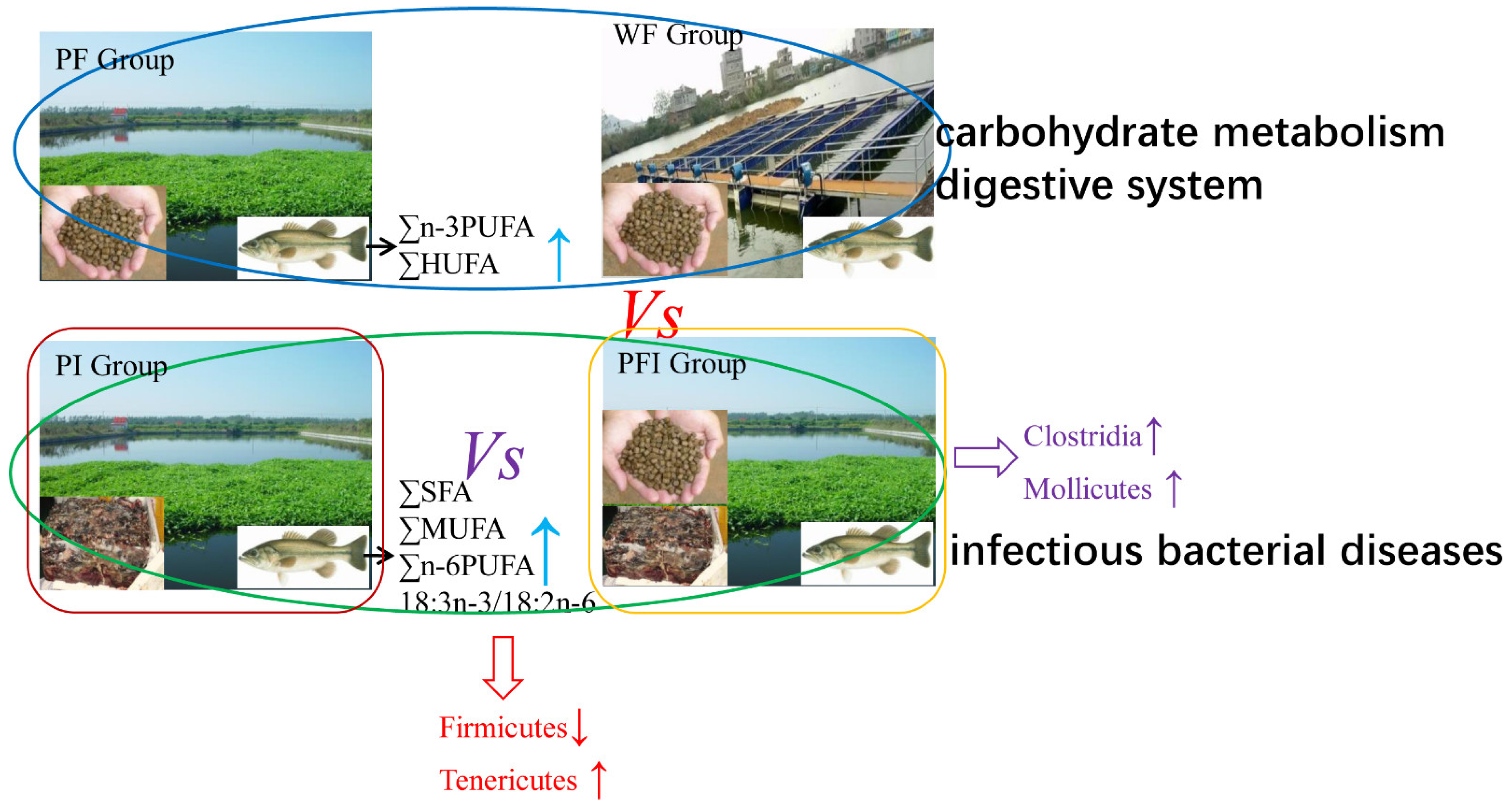 Microorganisms 11 01356 g007 Microorganisms 11 01356 g007