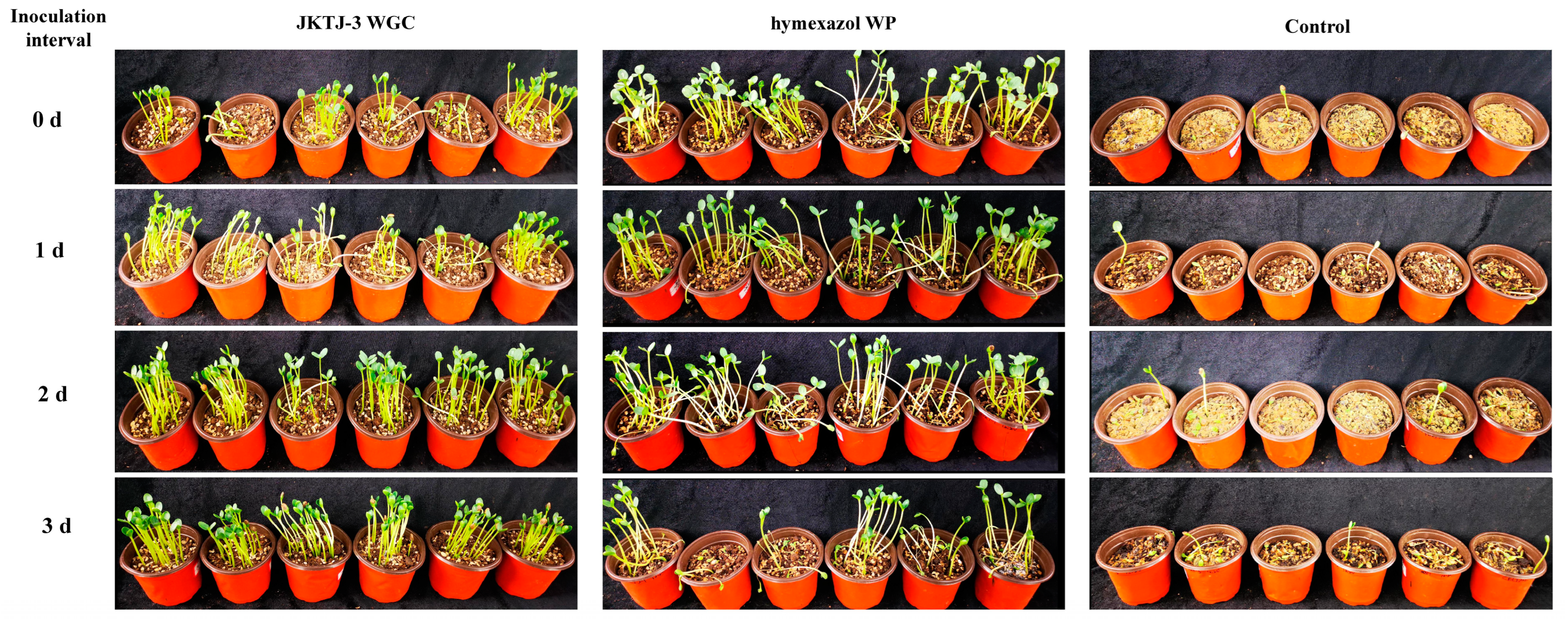 Microorganisms 11 01360 g0a4 Microorganisms 11 01360 g0a4