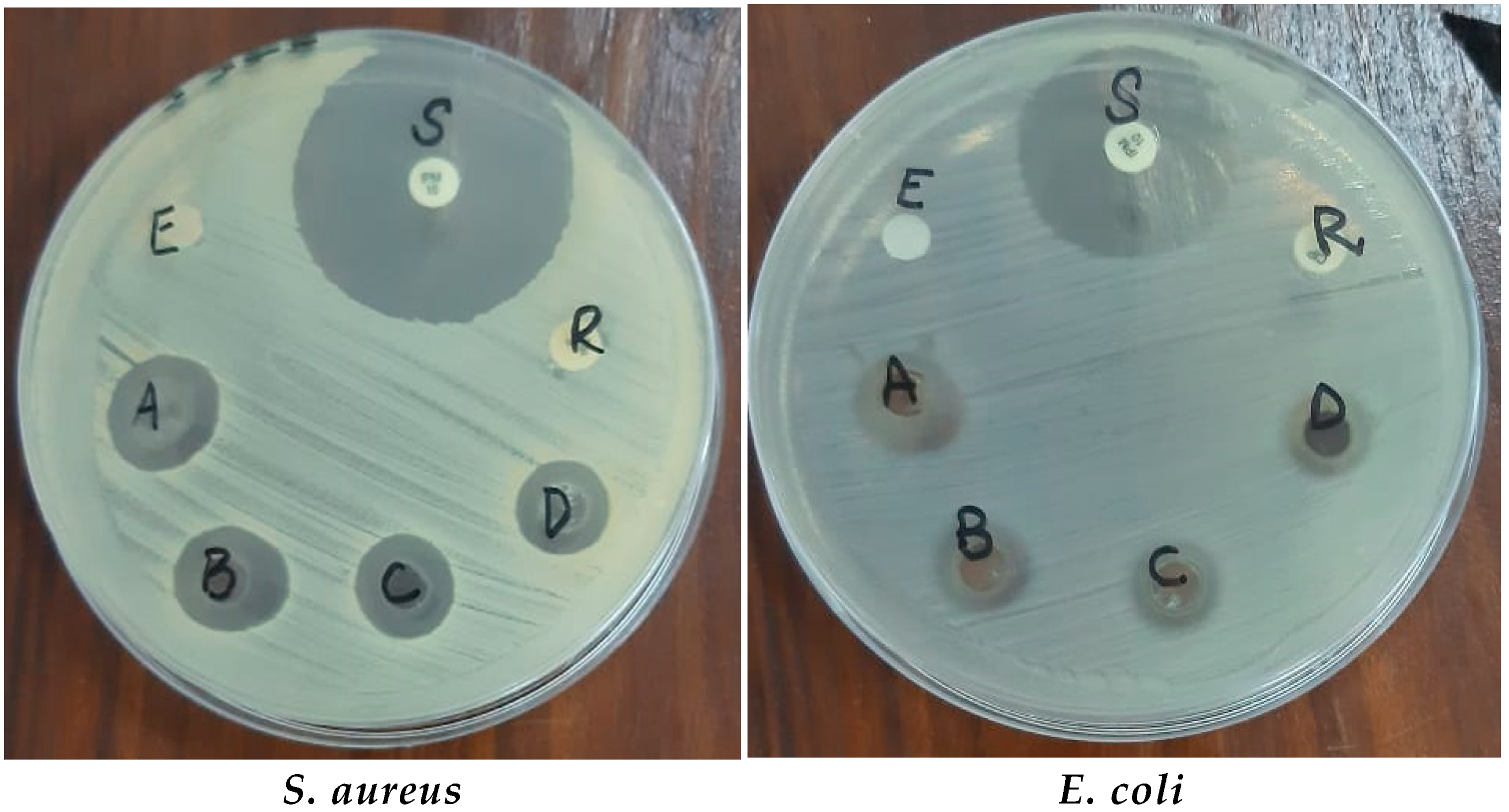 Microorganisms 11 01363 g009 Microorganisms 11 01363 g009