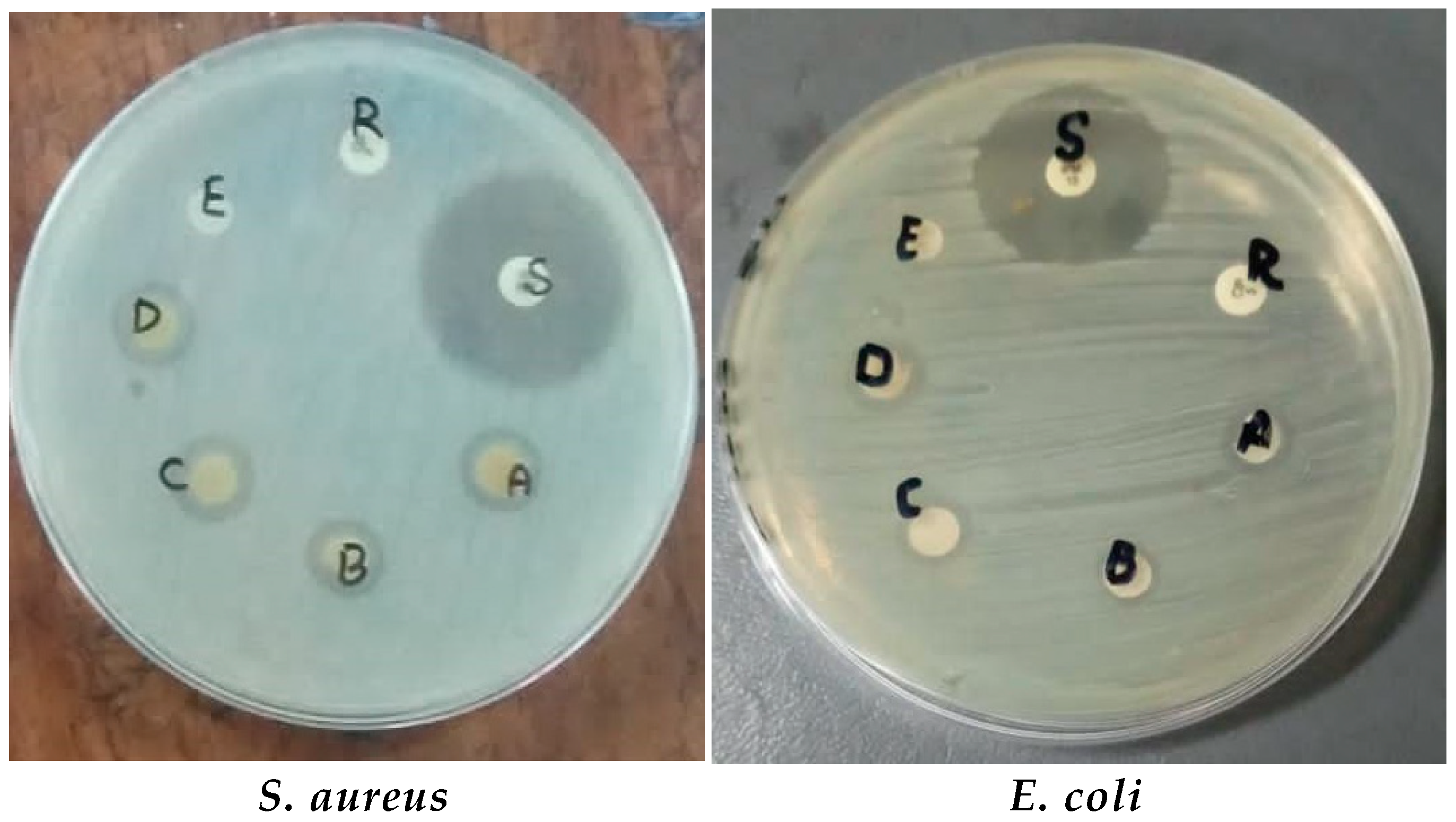 Microorganisms 11 01363 g010 Microorganisms 11 01363 g010