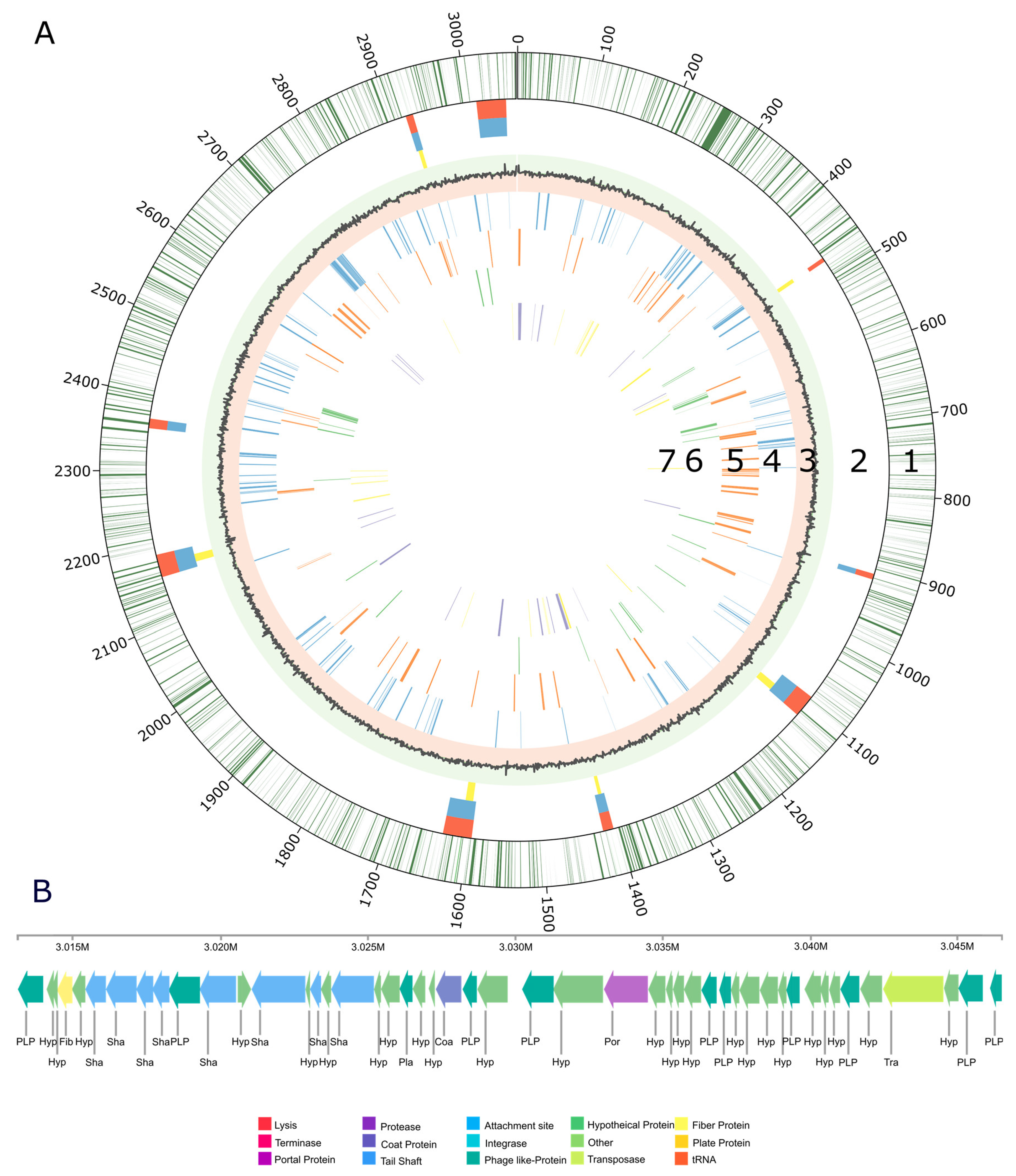 Microorganisms 11 01366 g002 Microorganisms 11 01366 g002