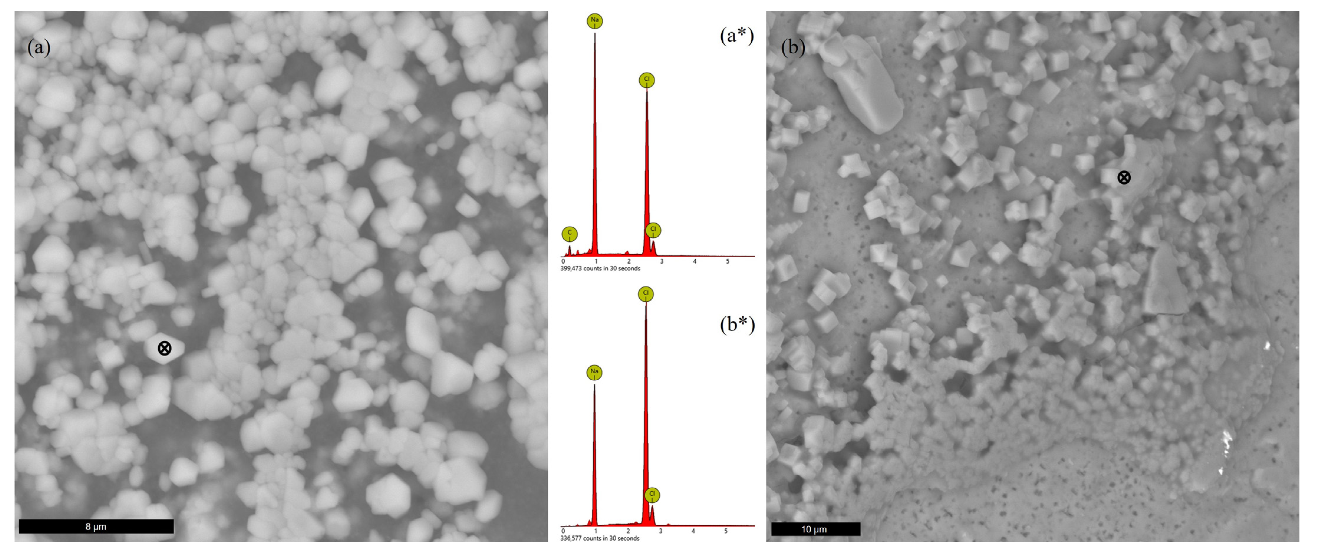 Microorganisms 11 01370 g006