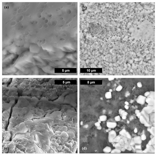 Free FullText Microbial Influence on the Mobility