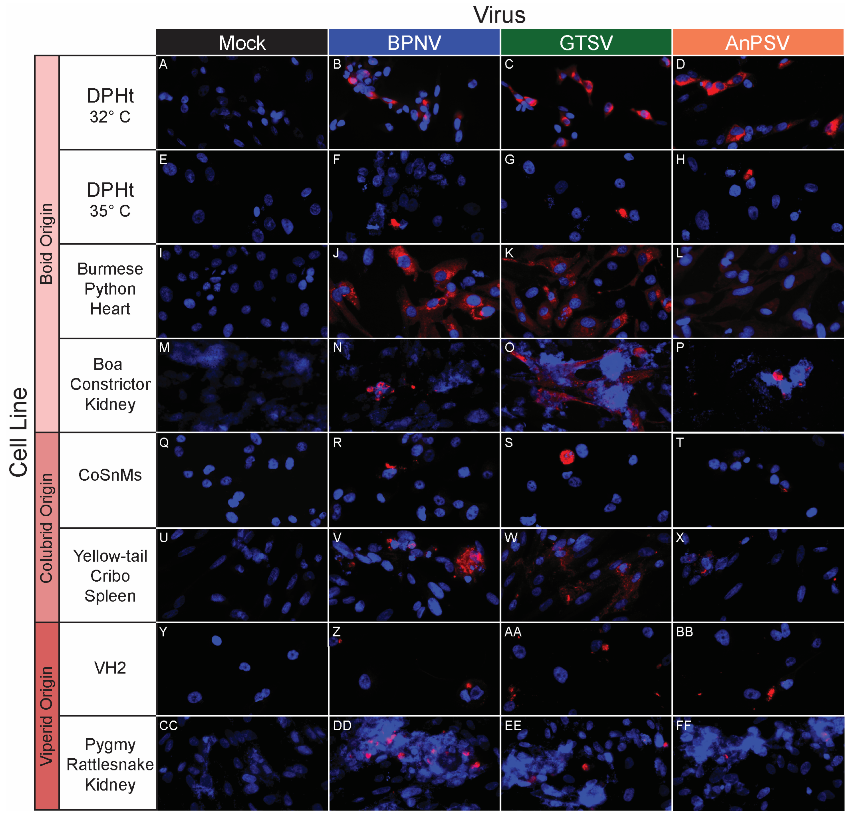 Microorganisms 11 01371 g004