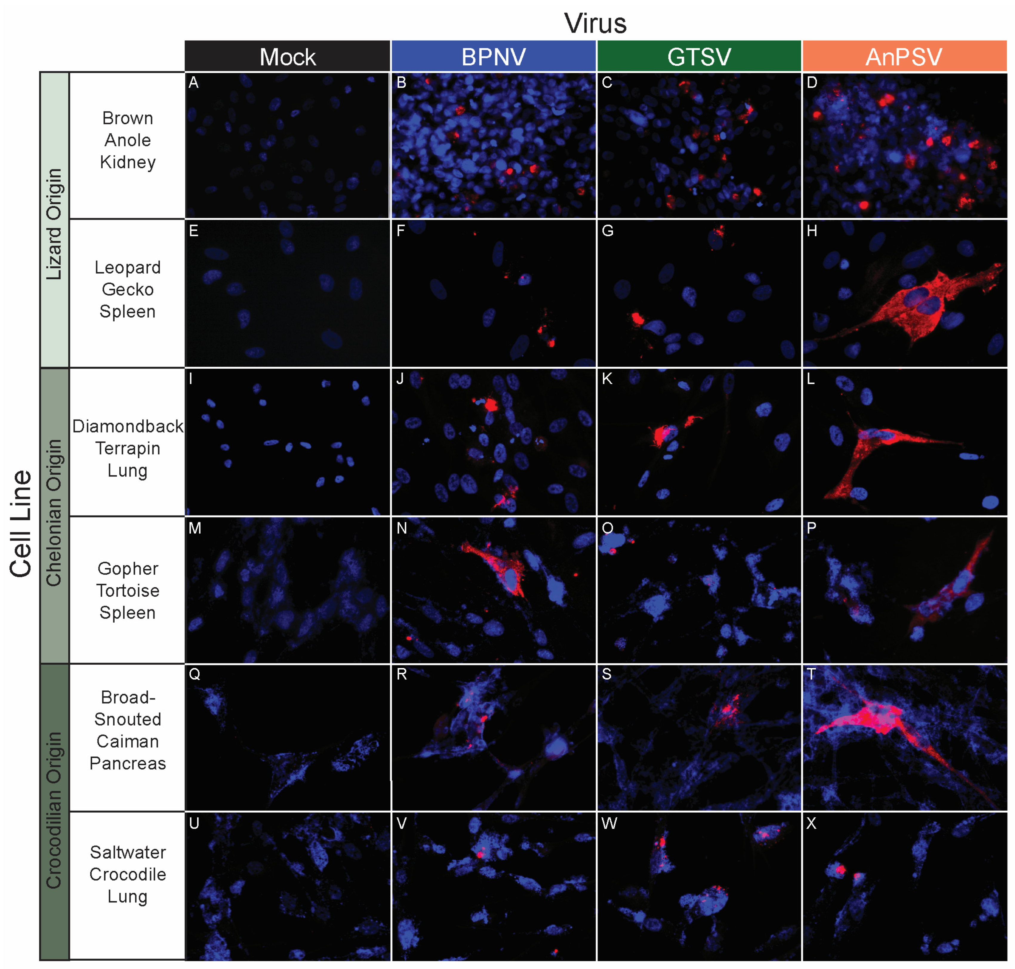 Microorganisms 11 01371 g005