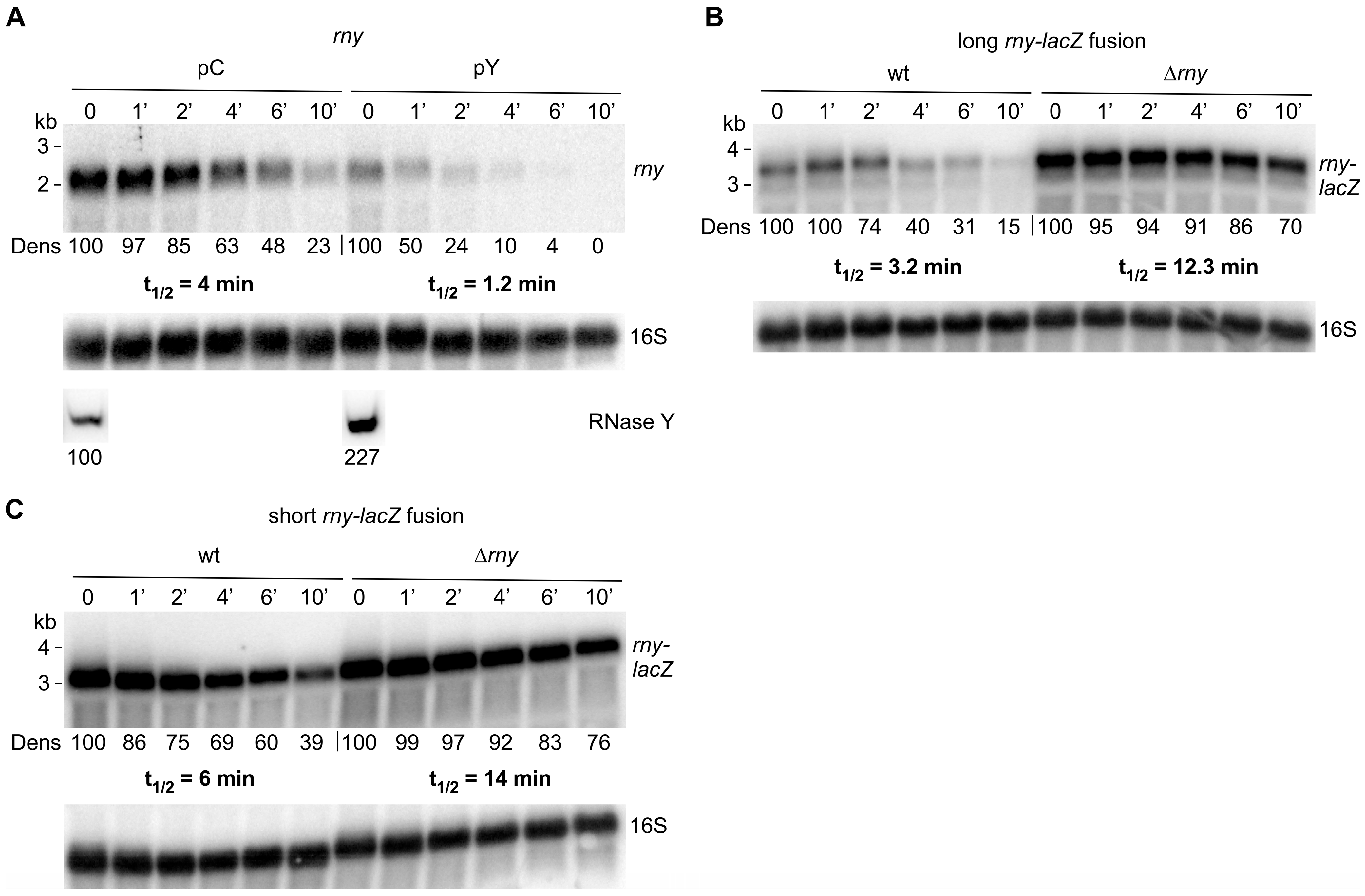 Microorganisms 11 01374 g003 Microorganisms 11 01374 g003