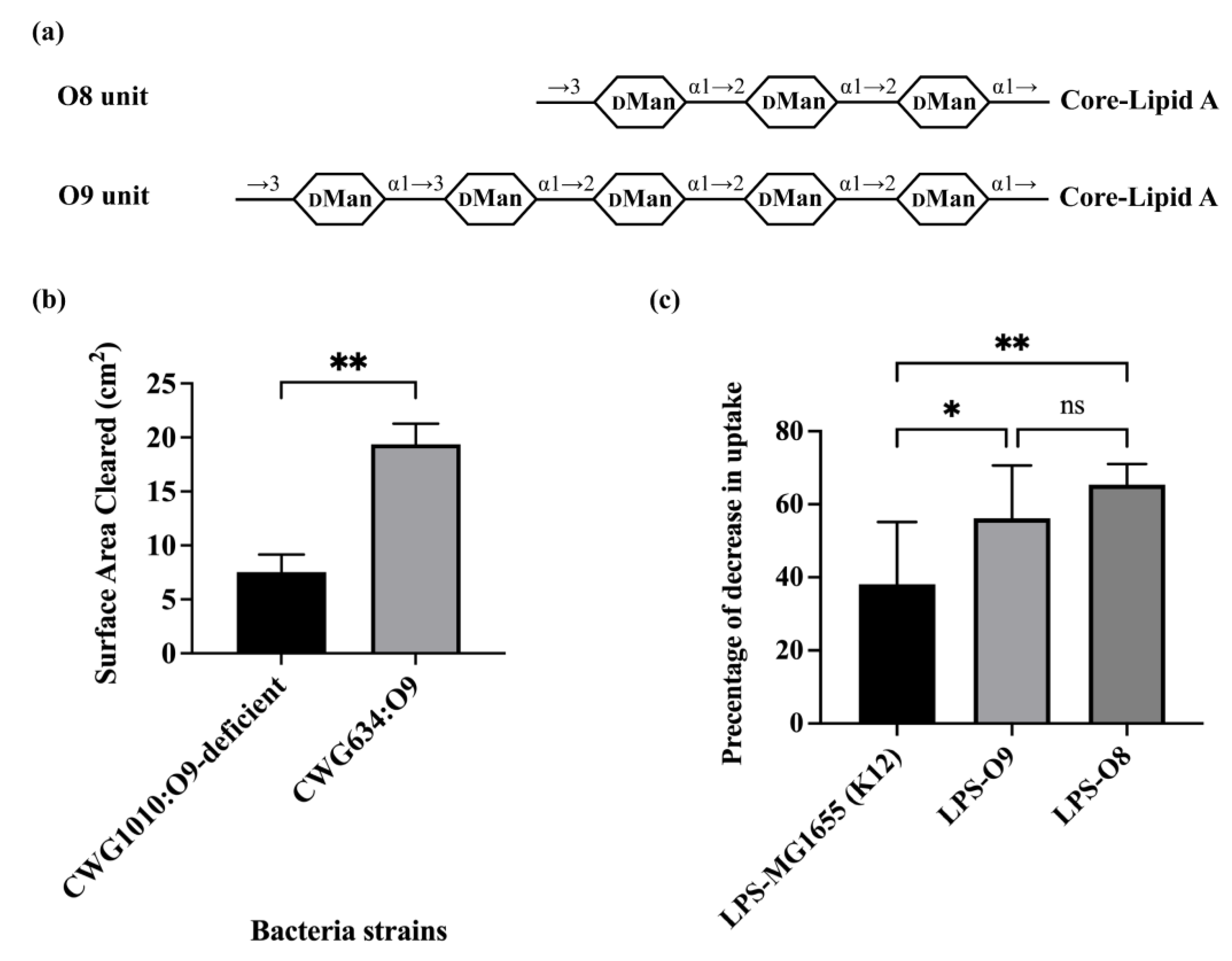 Microorganisms 11 01377 g002