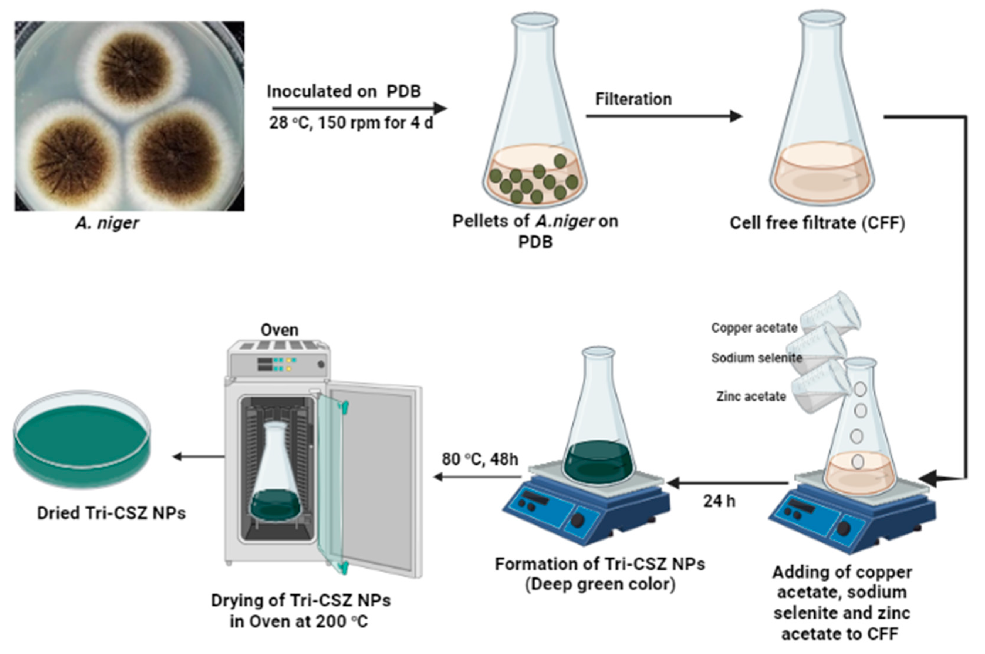 Microorganisms 11 01380 g001 Microorganisms 11 01380 g001