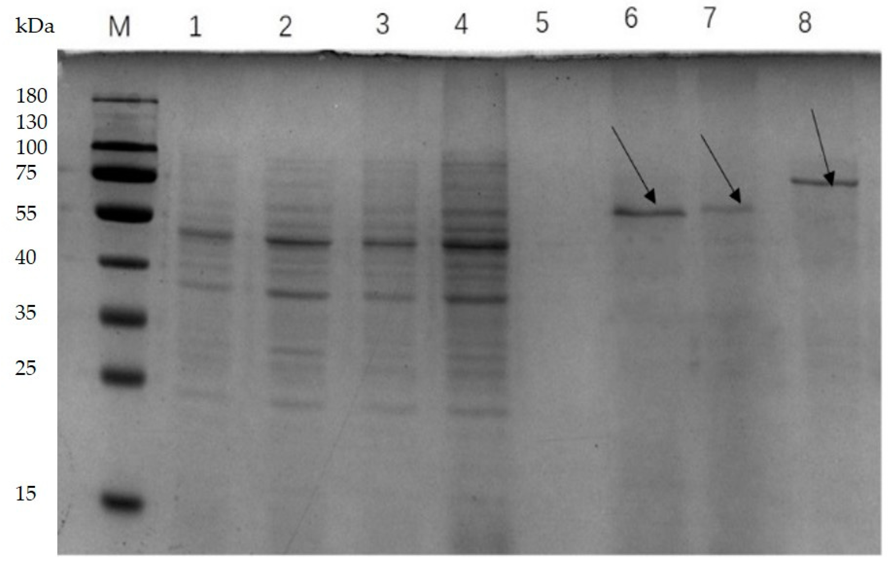 Microorganisms 11 01387 g003