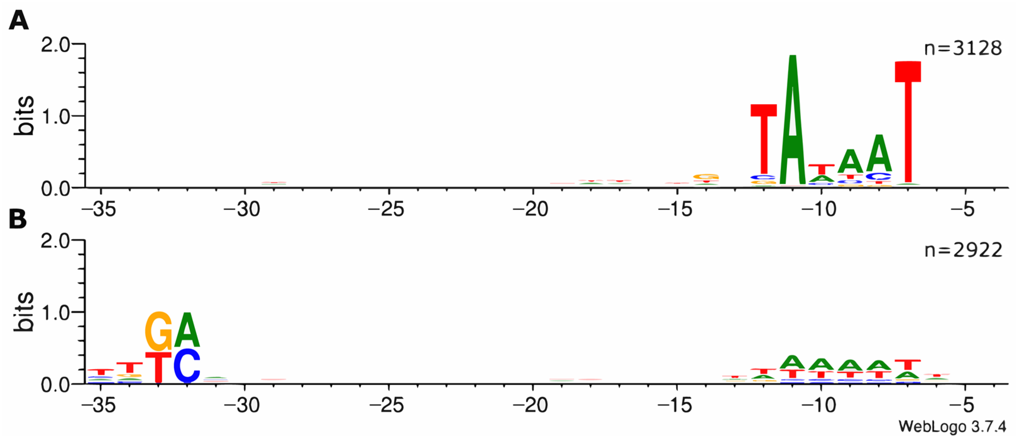 Microorganisms 11 01388 g001 Microorganisms 11 01388 g001