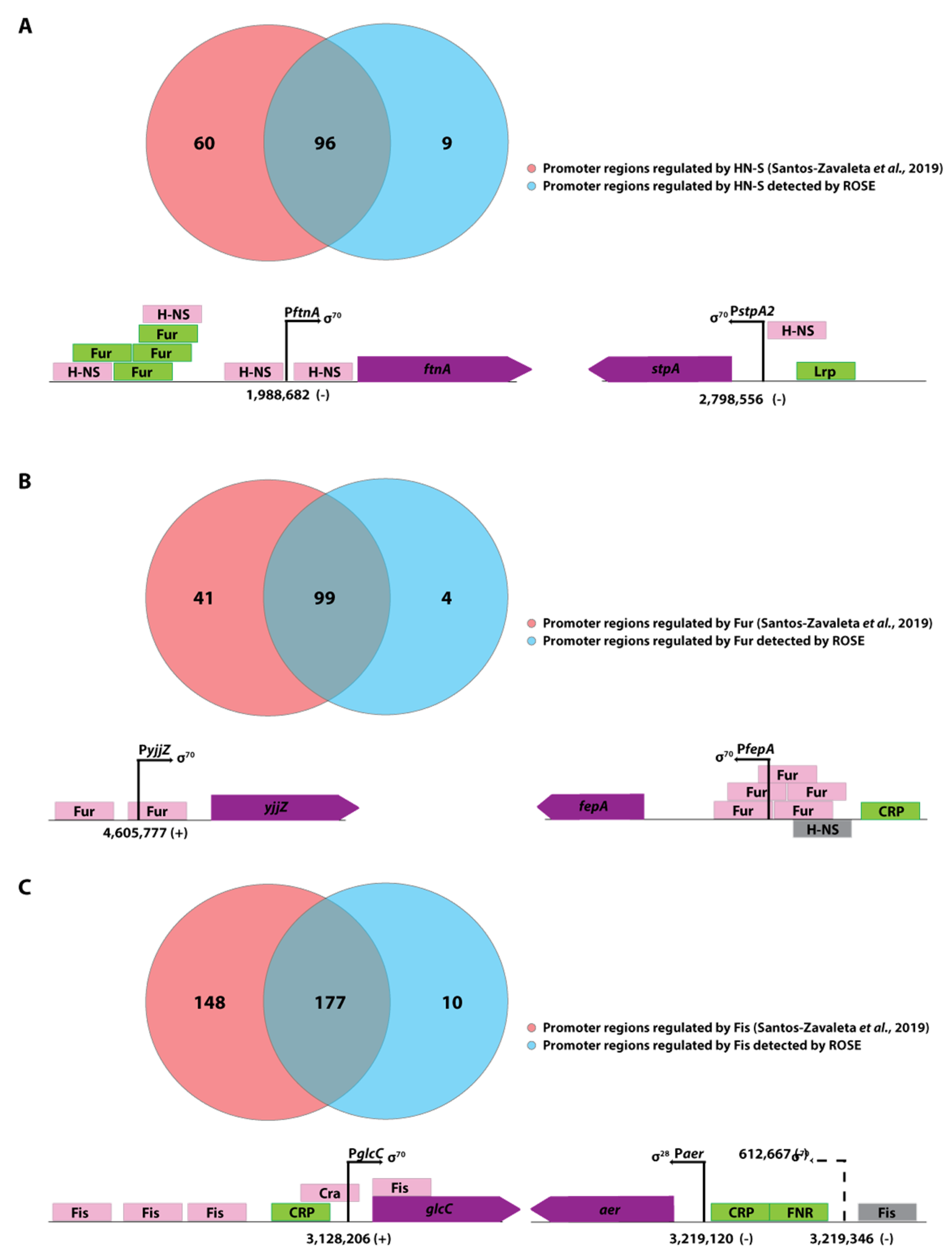 Microorganisms 11 01388 g004 Microorganisms 11 01388 g004