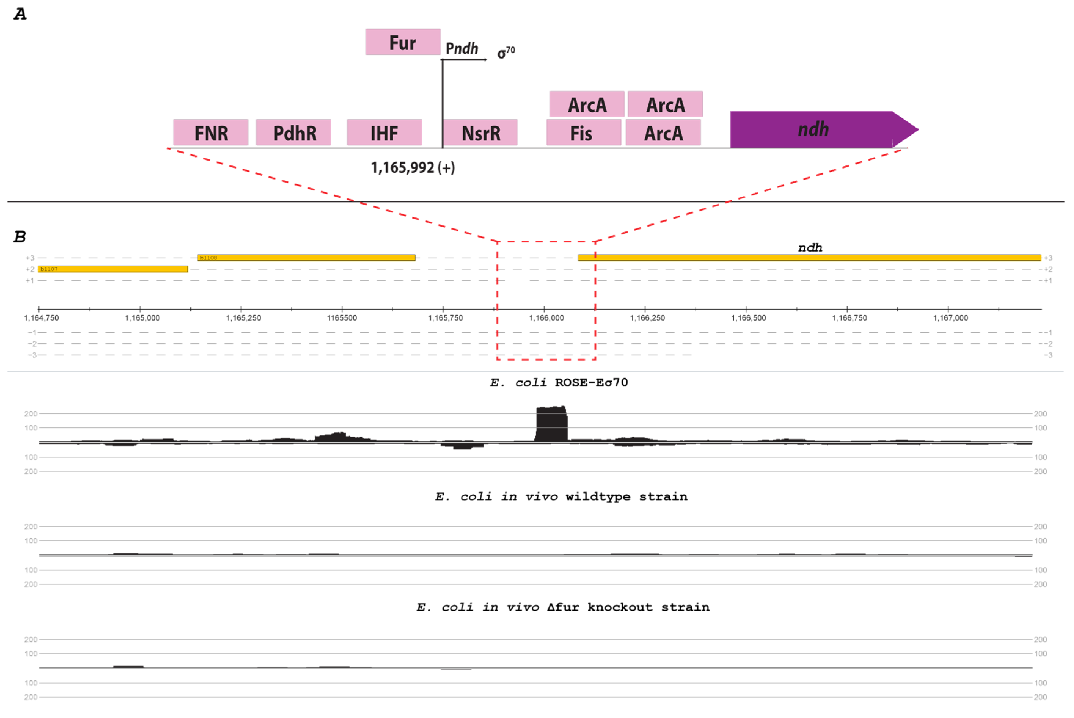 Microorganisms 11 01388 g005 Microorganisms 11 01388 g005
