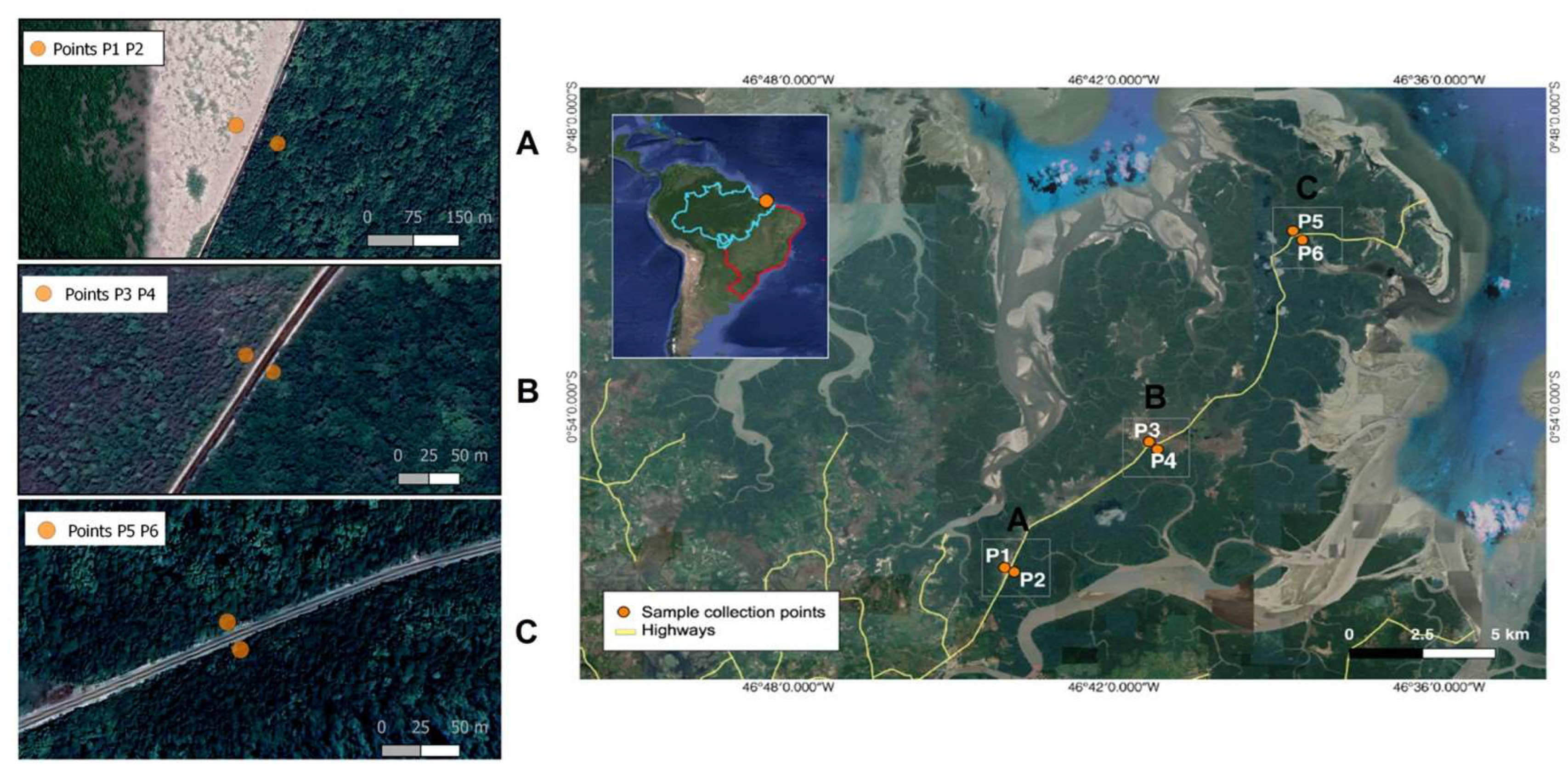 Microorganisms | Free Full-Text | Effects of Degradation on Microbial  Communities of an Amazonian Mangrove