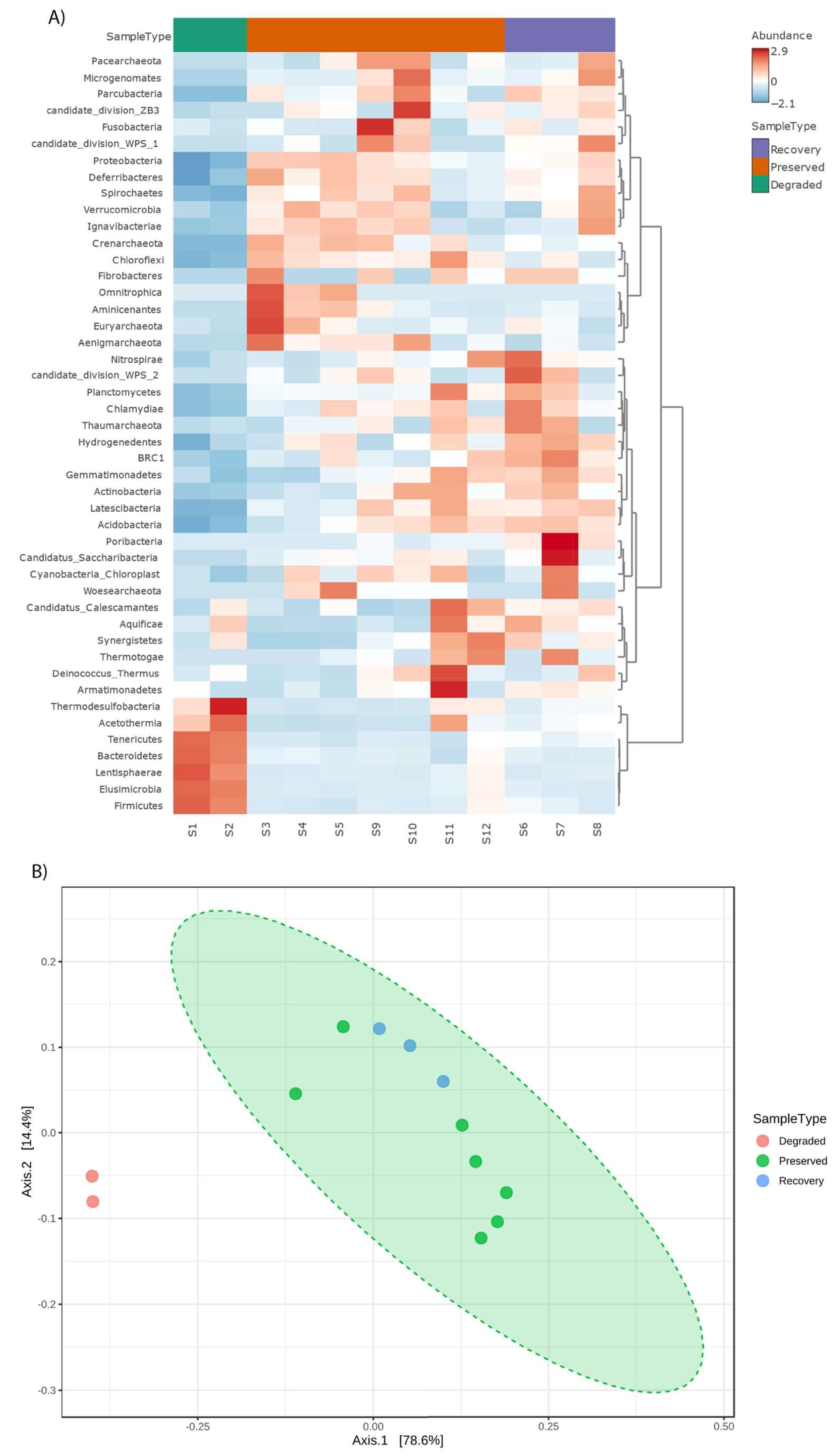 Microorganisms 11 01389 g004 Microorganisms 11 01389 g004