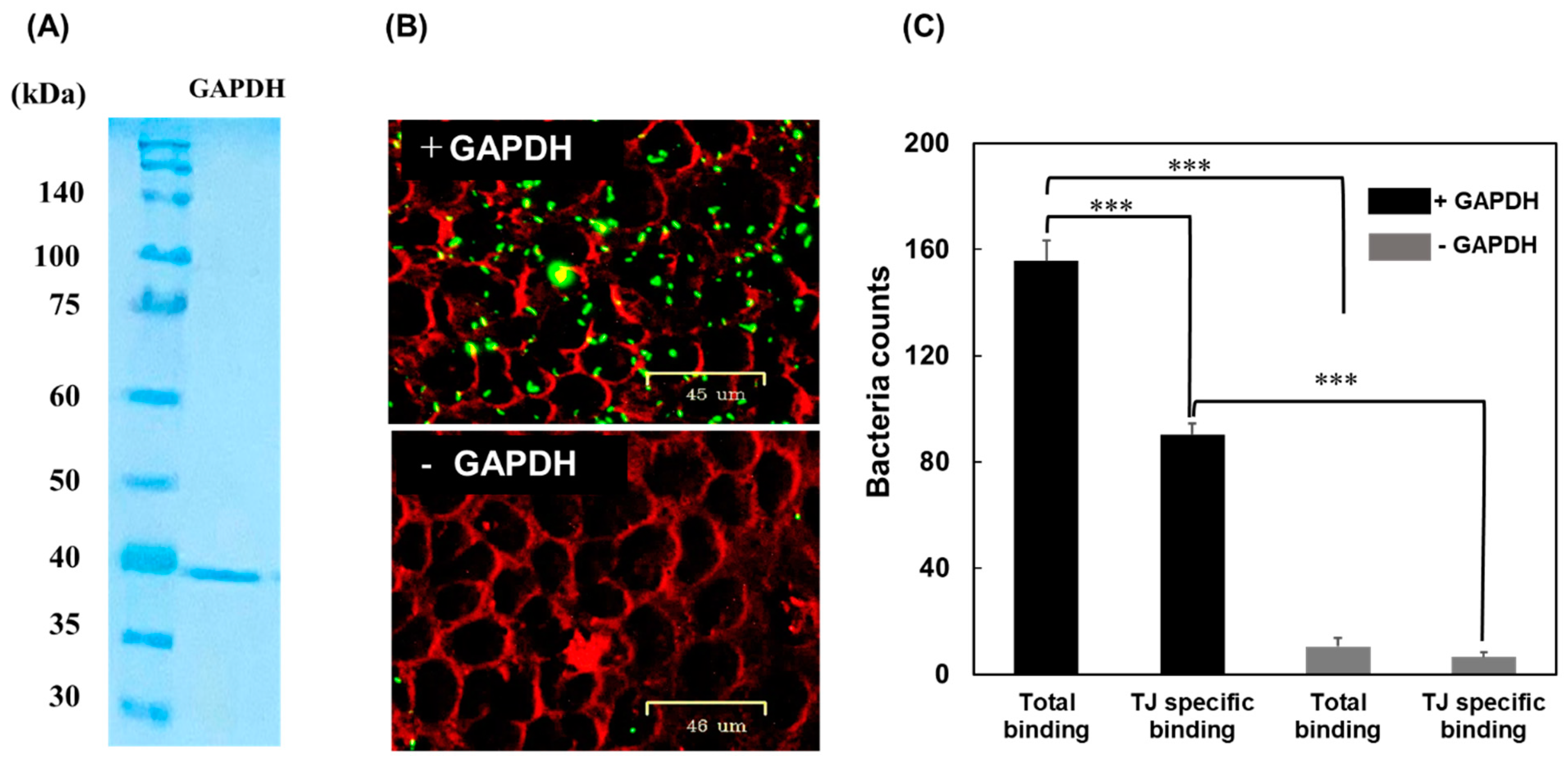 Microorganisms 11 01393 g001 Microorganisms 11 01393 g001