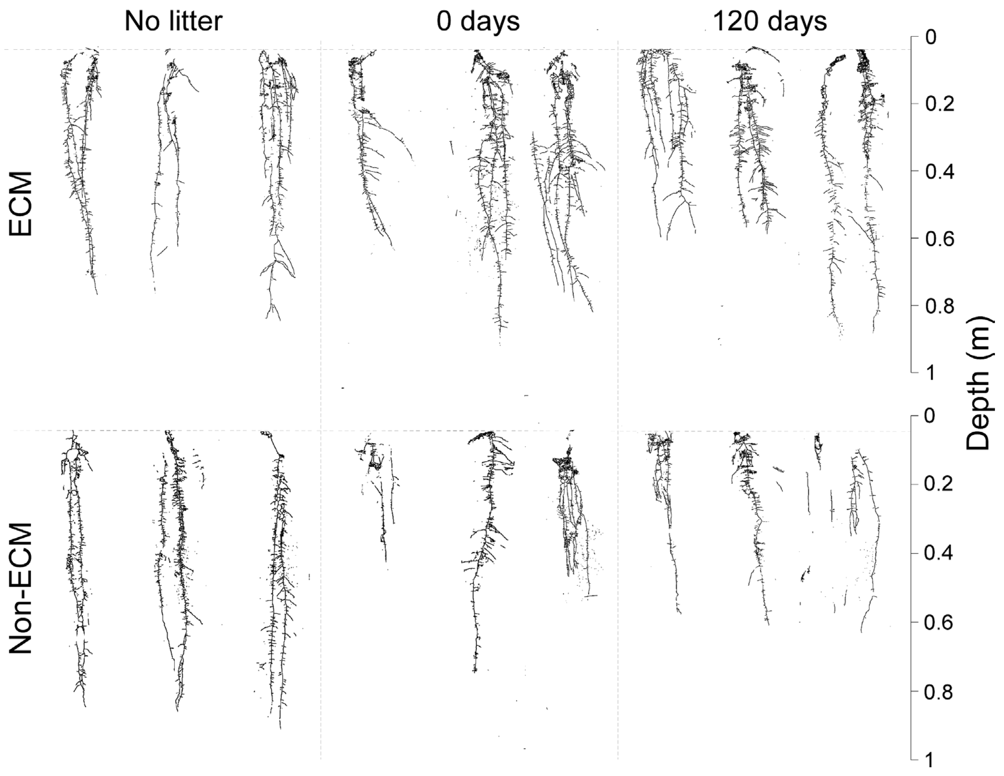Microorganisms 11 01394 g002 Microorganisms 11 01394 g002