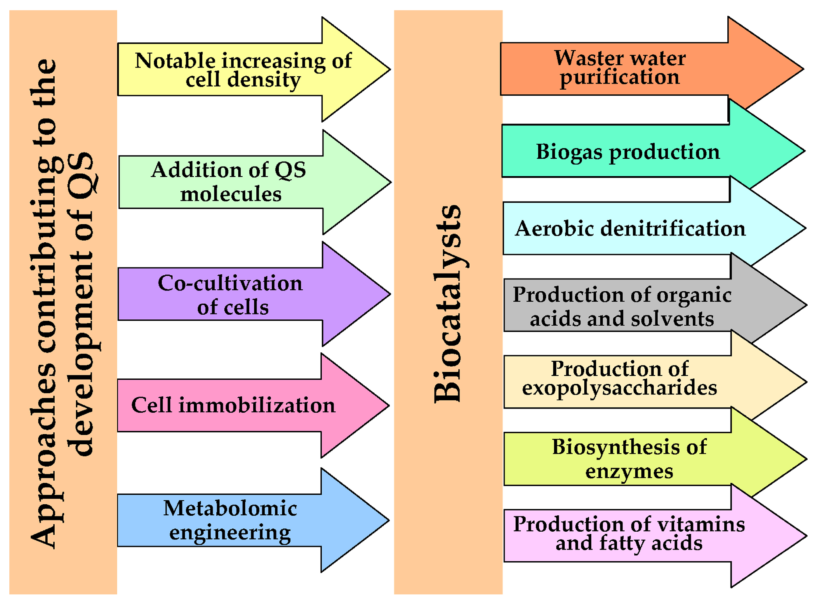 PDF) Structural and Biochemical Characterization of AaL, a Quorum