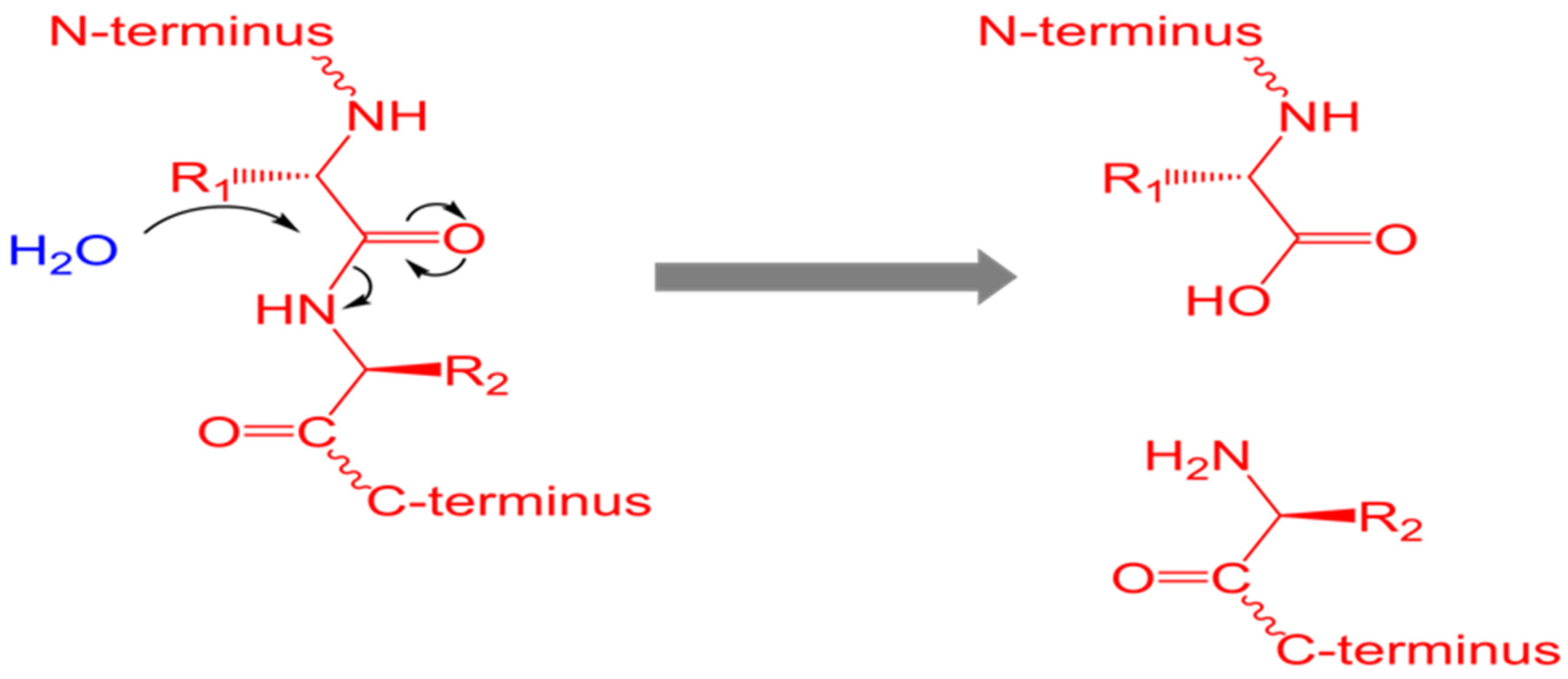 Free FullText Roles of Cysteine Proteases in