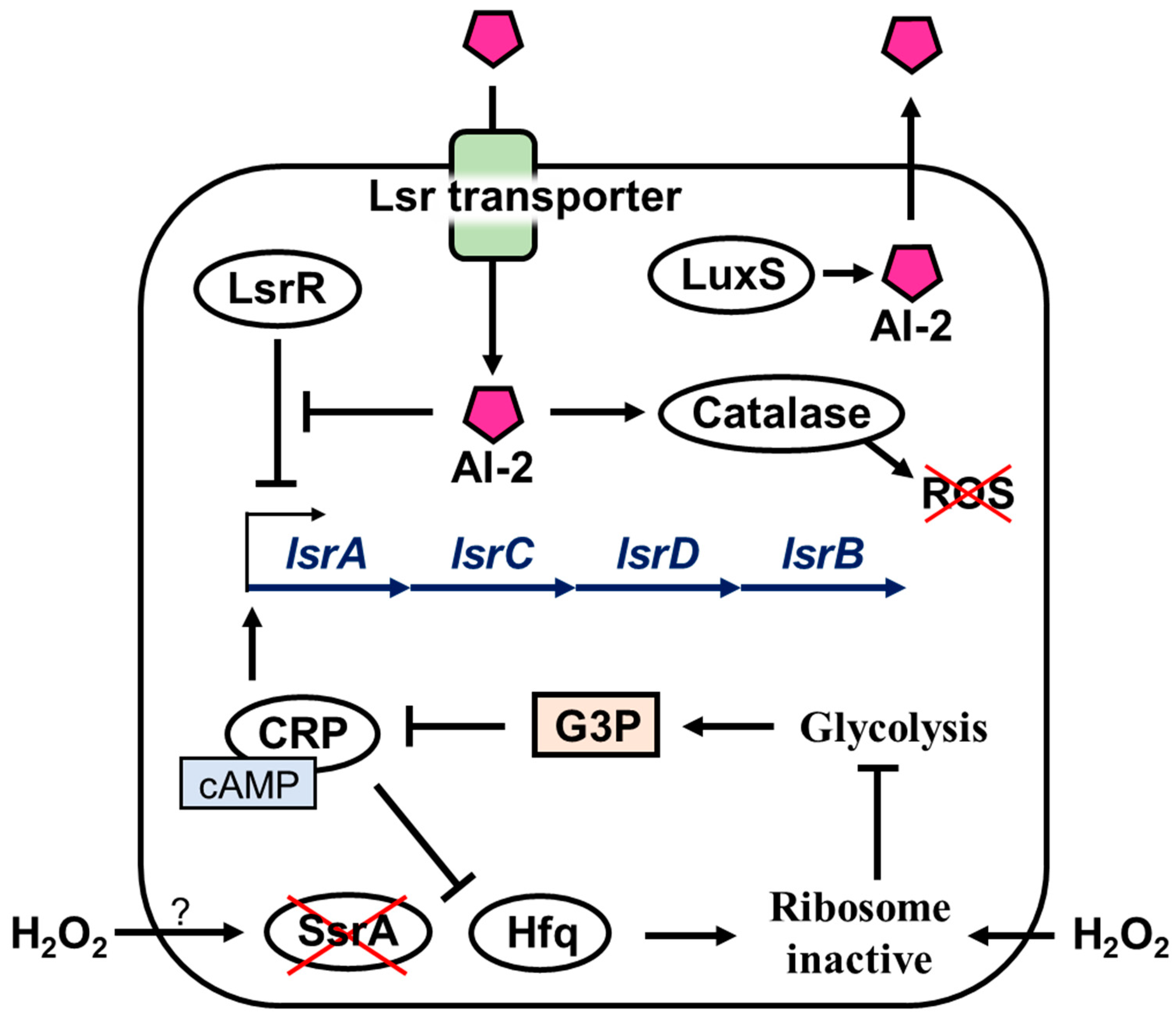 Microorganisms 11 01402 g005