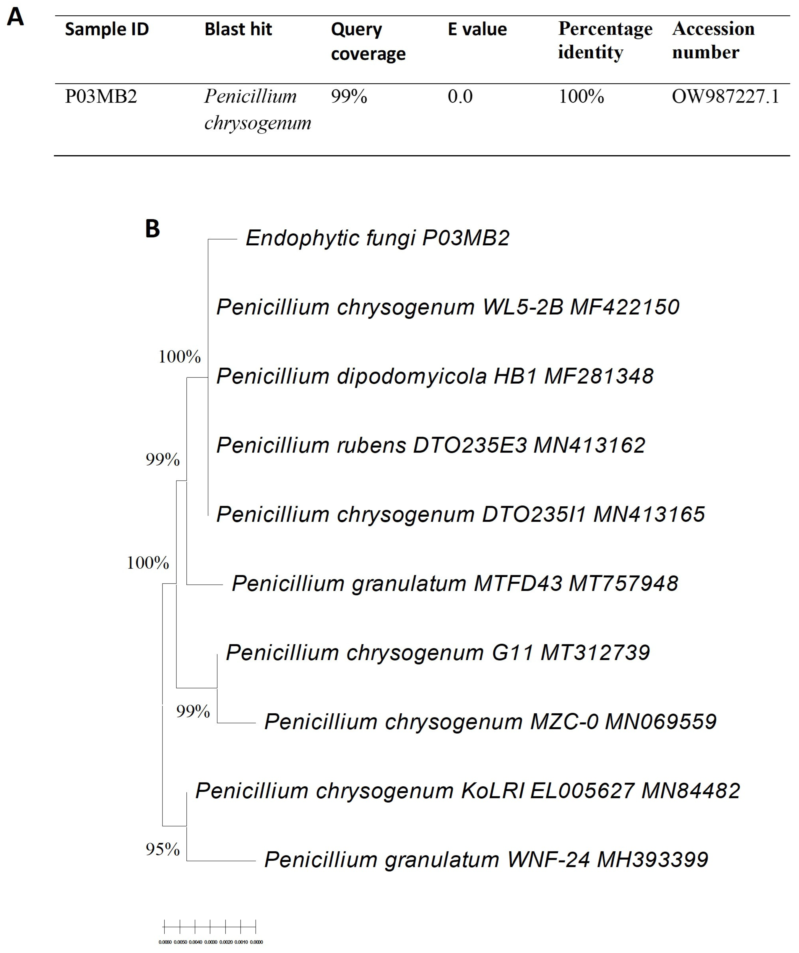 Microorganisms 11 01404 g001
