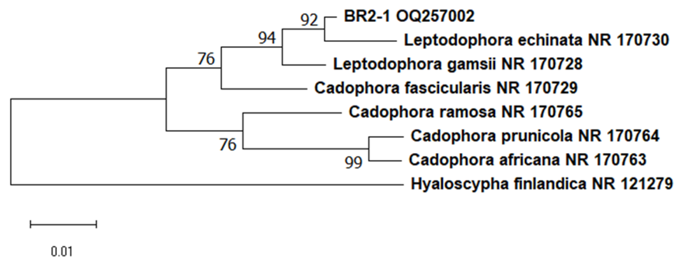 Microorganisms 11 01406 g003 Microorganisms 11 01406 g003