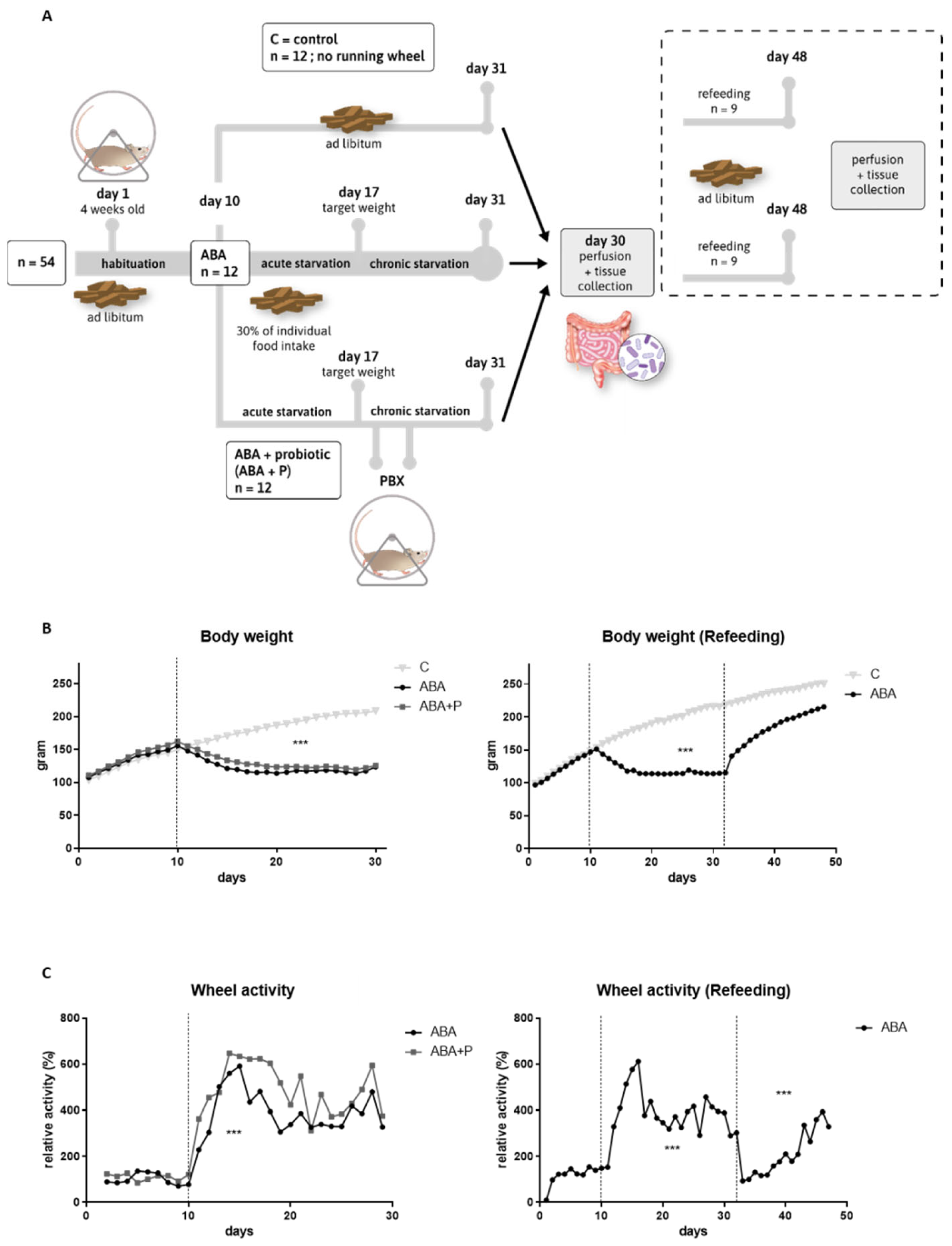 Microorganisms 11 01411 g001 Microorganisms 11 01411 g001