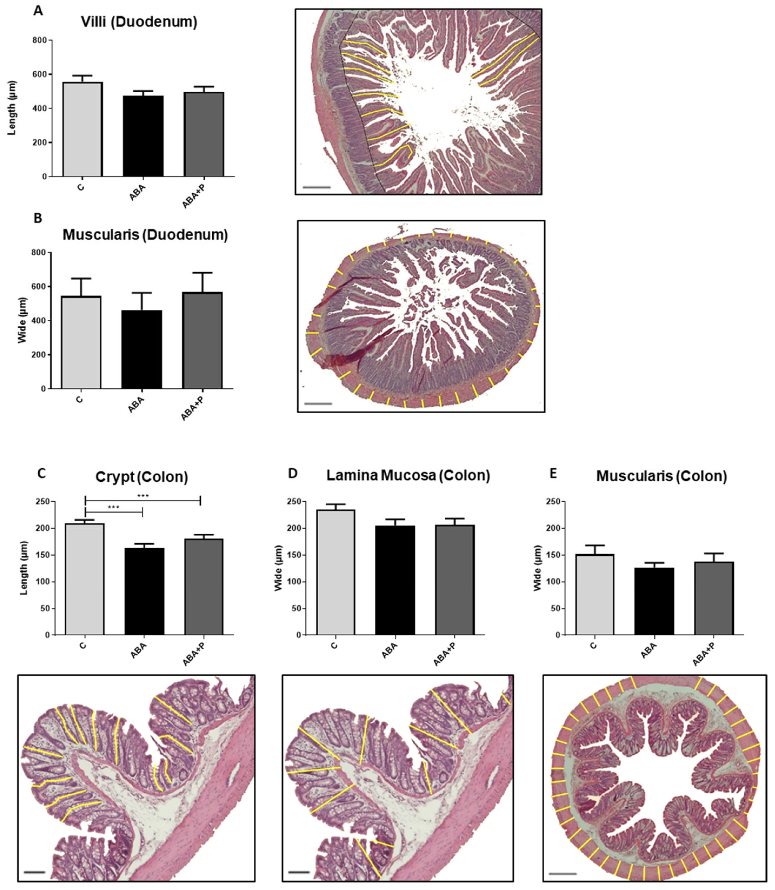 Microorganisms 11 01411 g002 Microorganisms 11 01411 g002