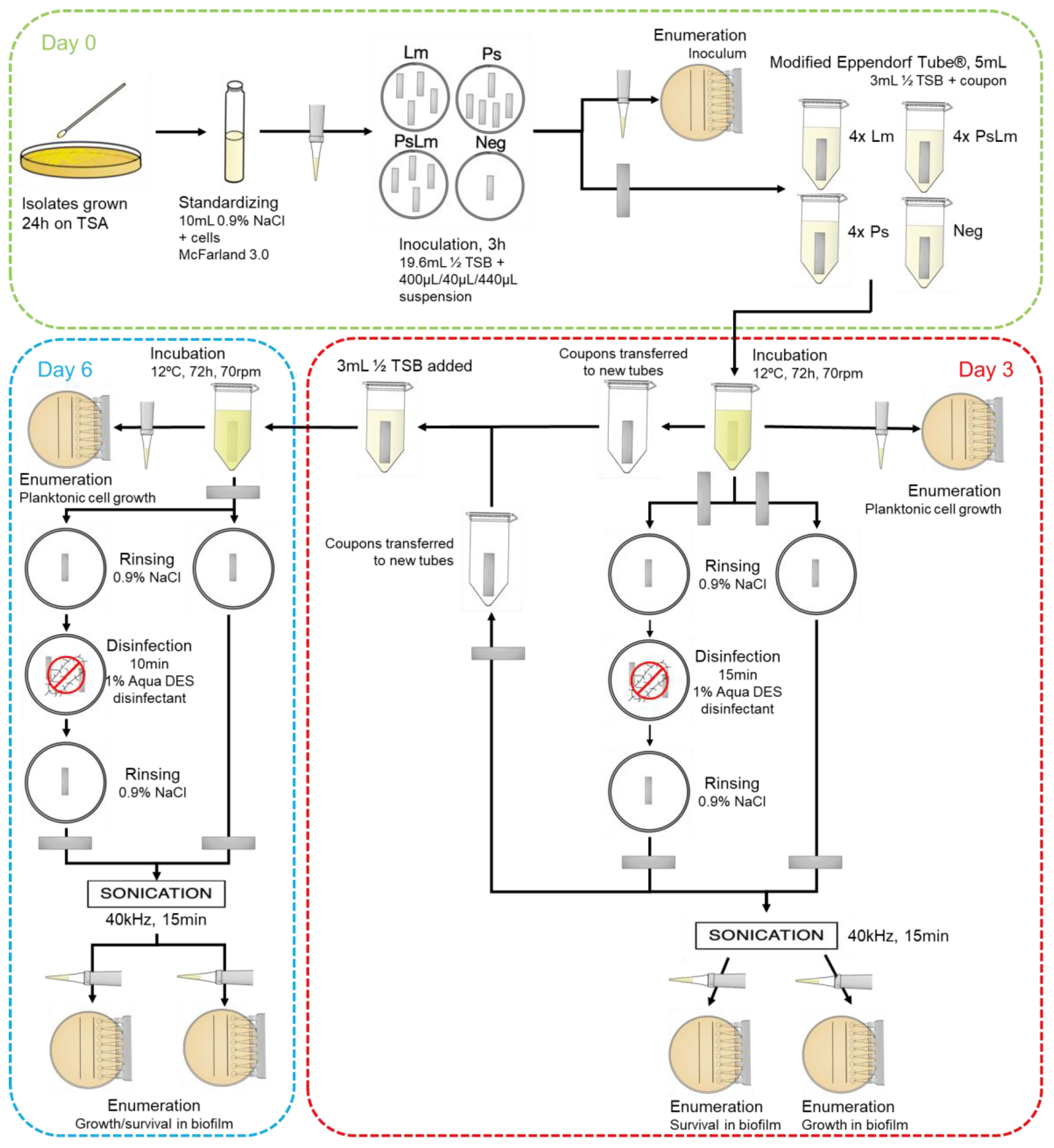 Microorganisms 11 01414 g001 Microorganisms 11 01414 g001