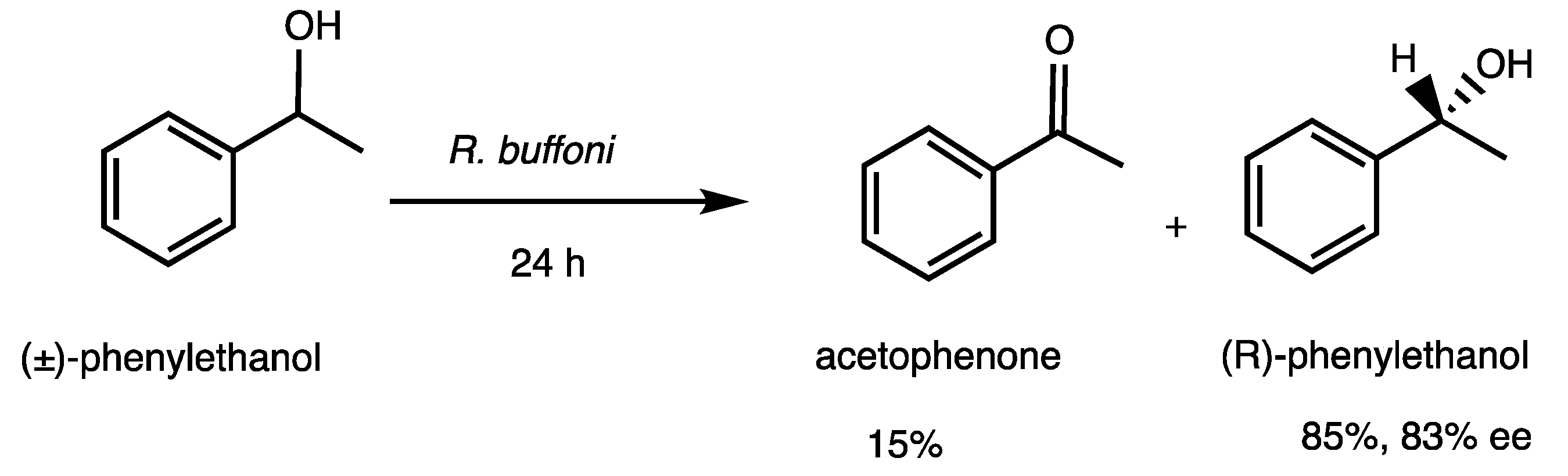 Microorganisms 11 01415 sch002 Microorganisms 11 01415 sch002