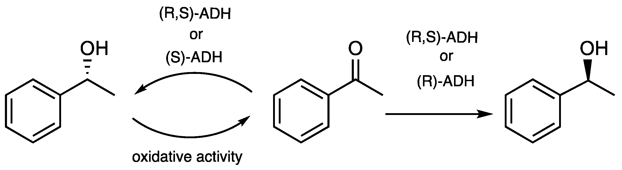 Microorganisms 11 01415 sch003 Microorganisms 11 01415 sch003