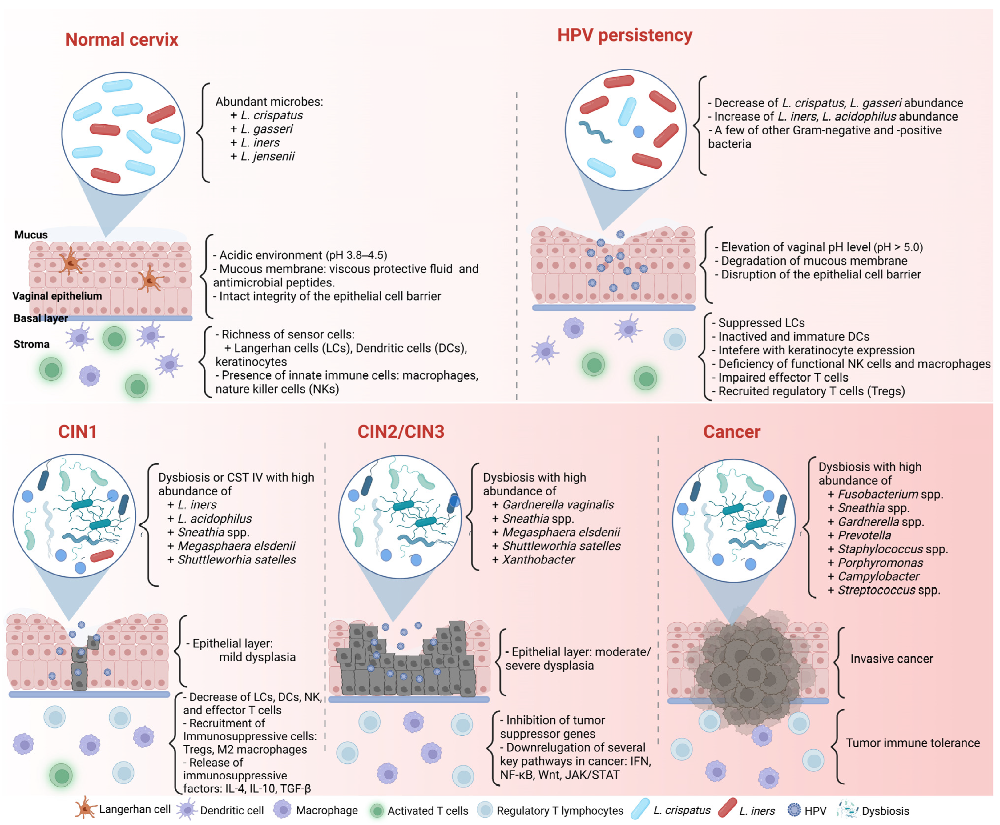 Microorganisms 11 01417 g001 Microorganisms 11 01417 g001