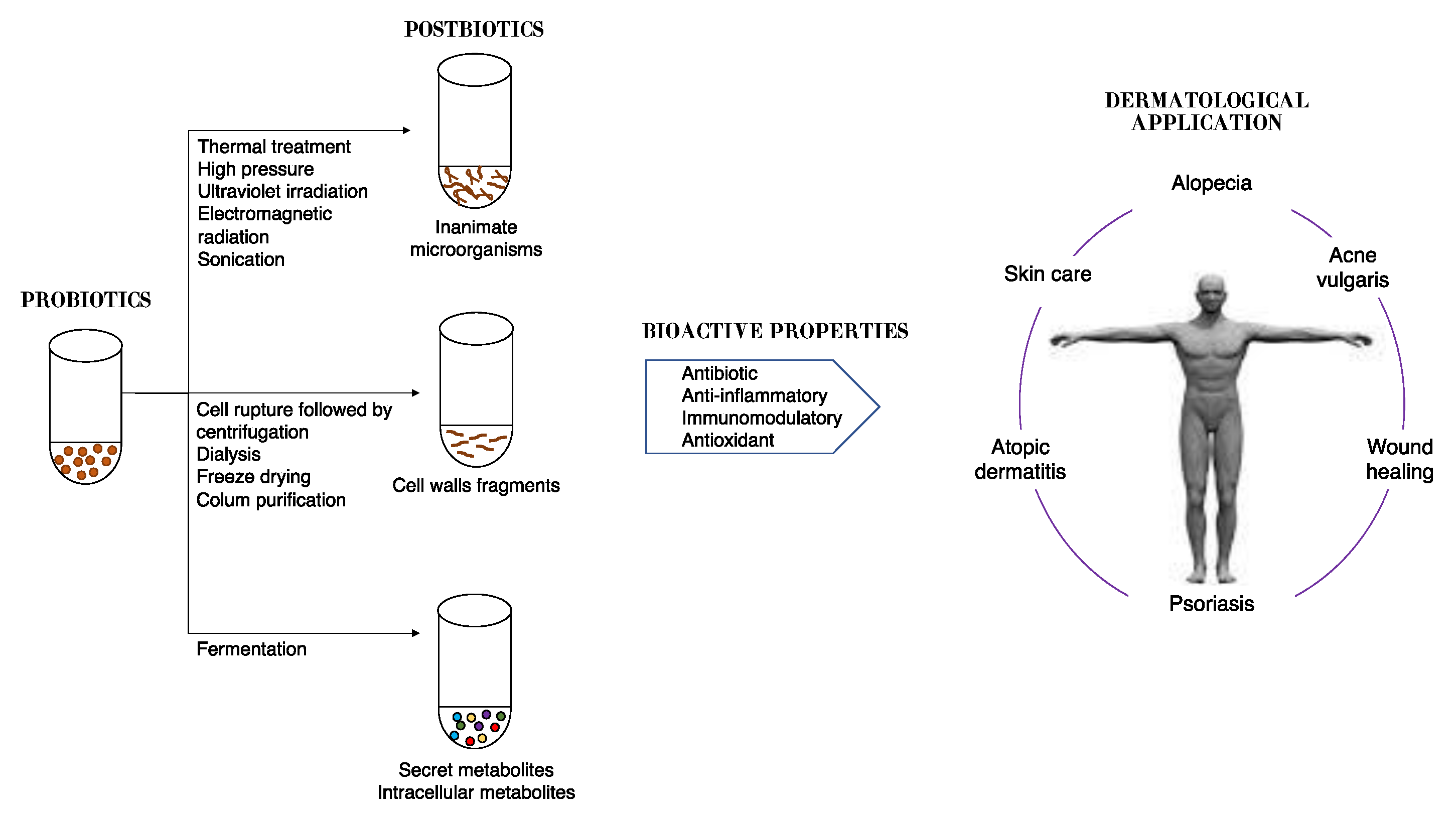 Microorganisms 11 01420 g002