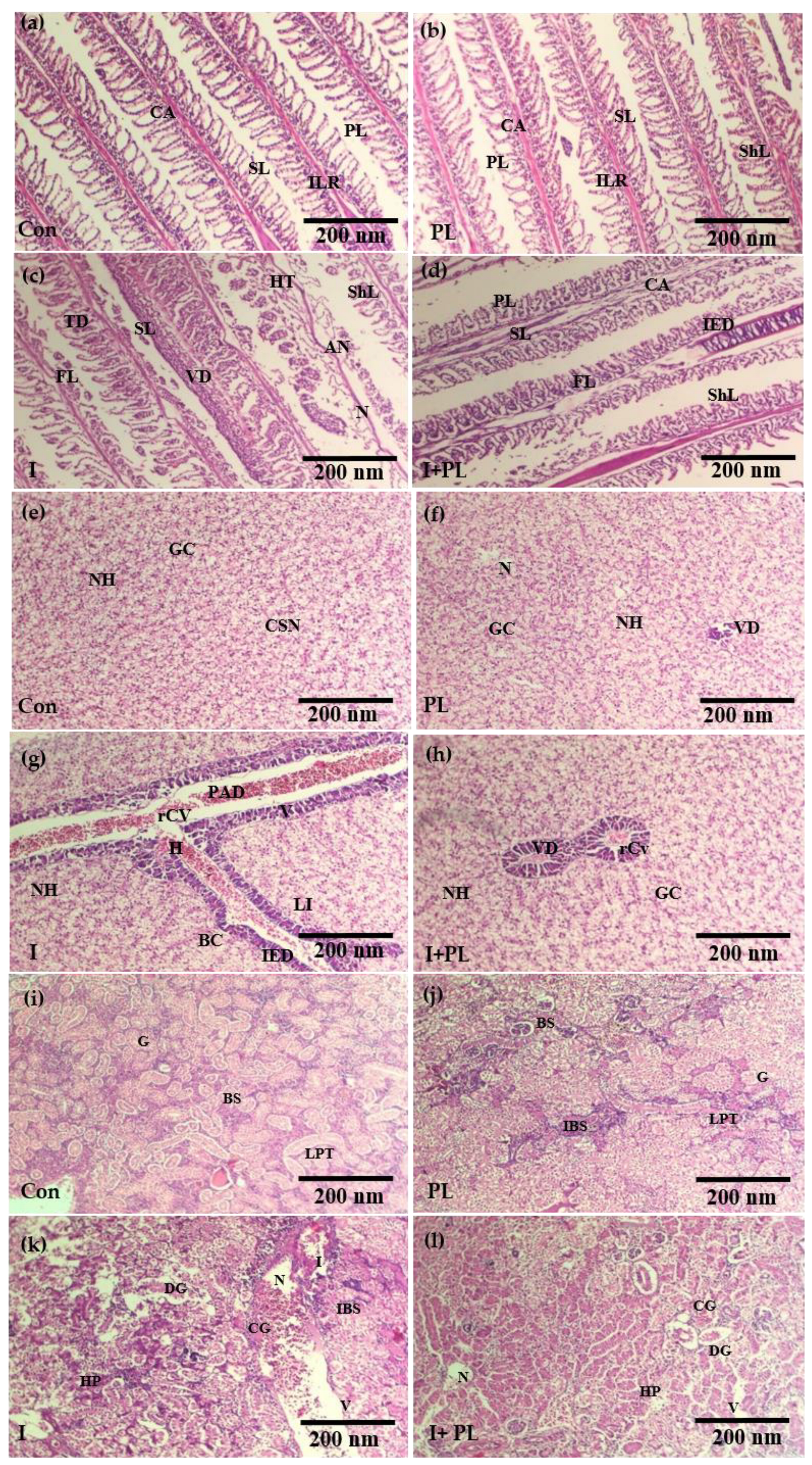 Microorganisms 11 01423 g005 Microorganisms 11 01423 g005