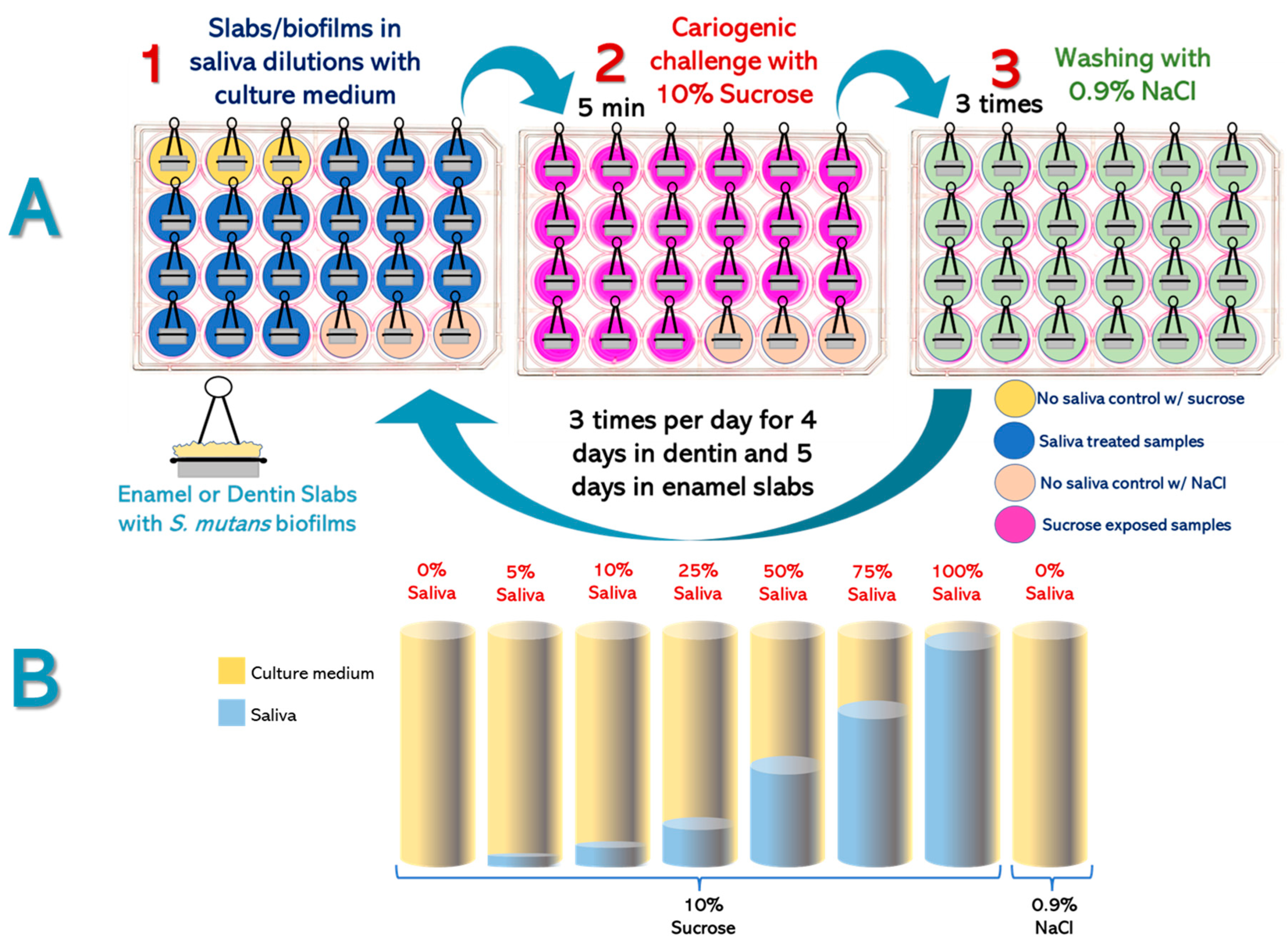 Microorganisms 11 01426 g001