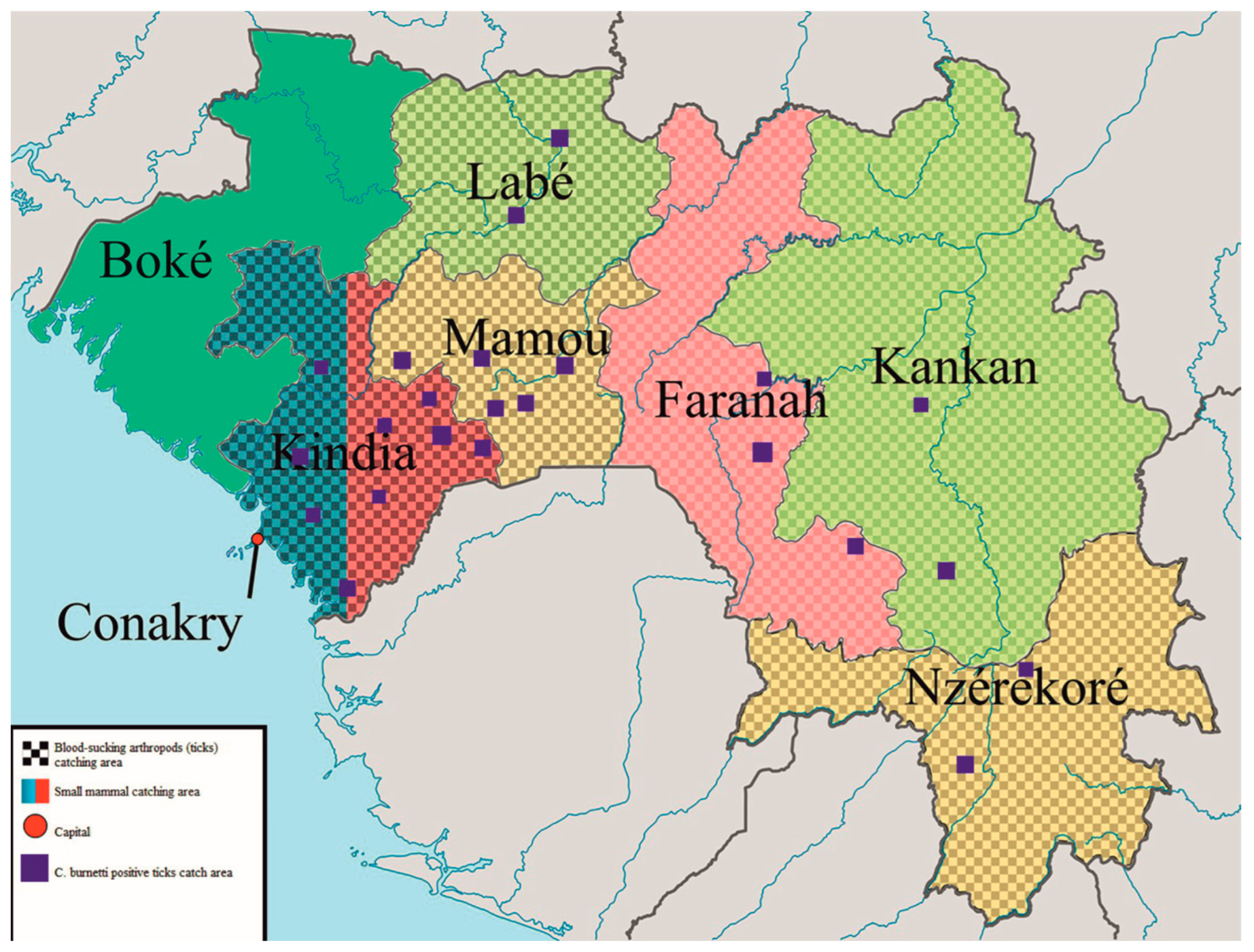 Microorganisms 11 01433 g001 Microorganisms 11 01433 g001
