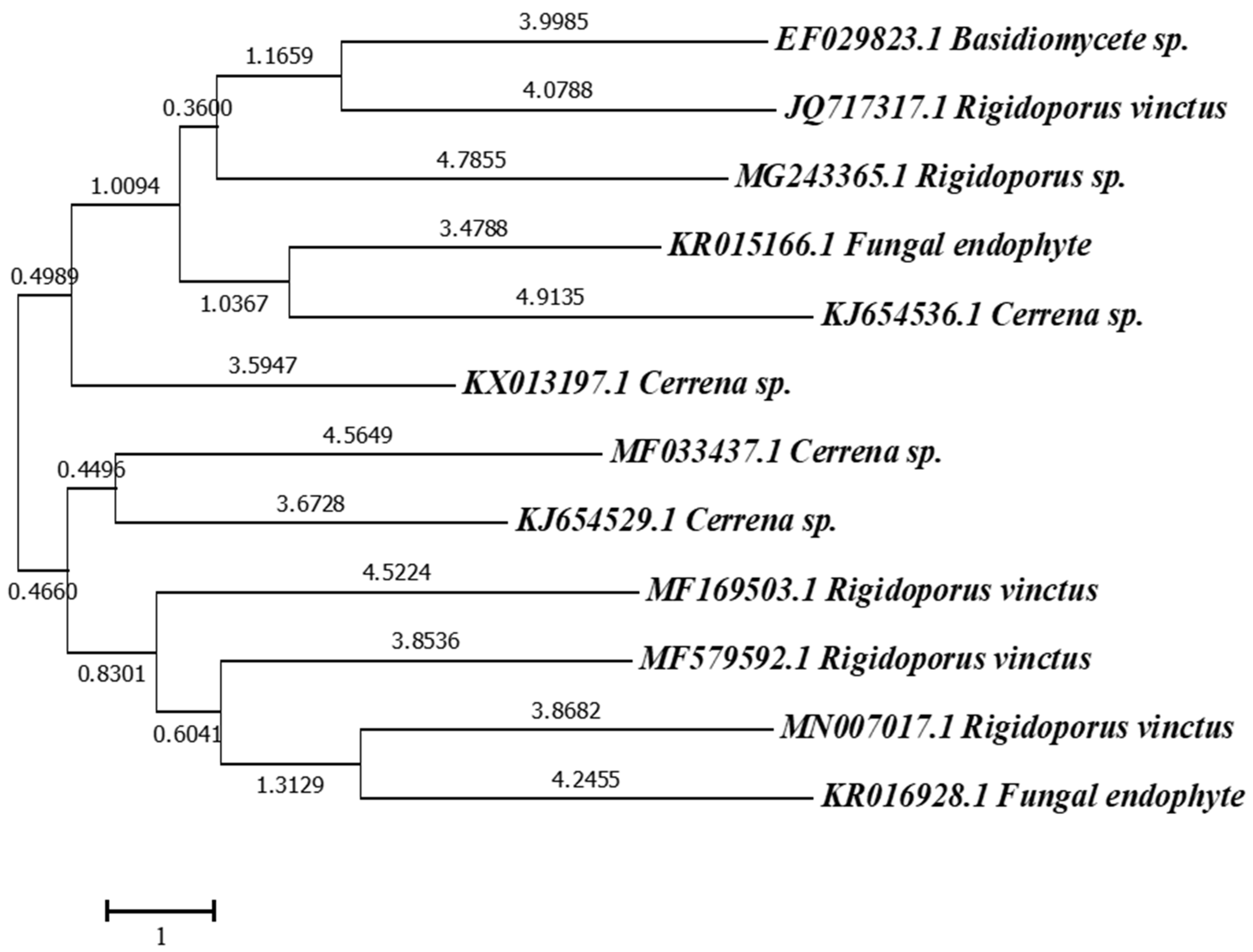 Microorganisms 11 01435 g003 Microorganisms 11 01435 g003