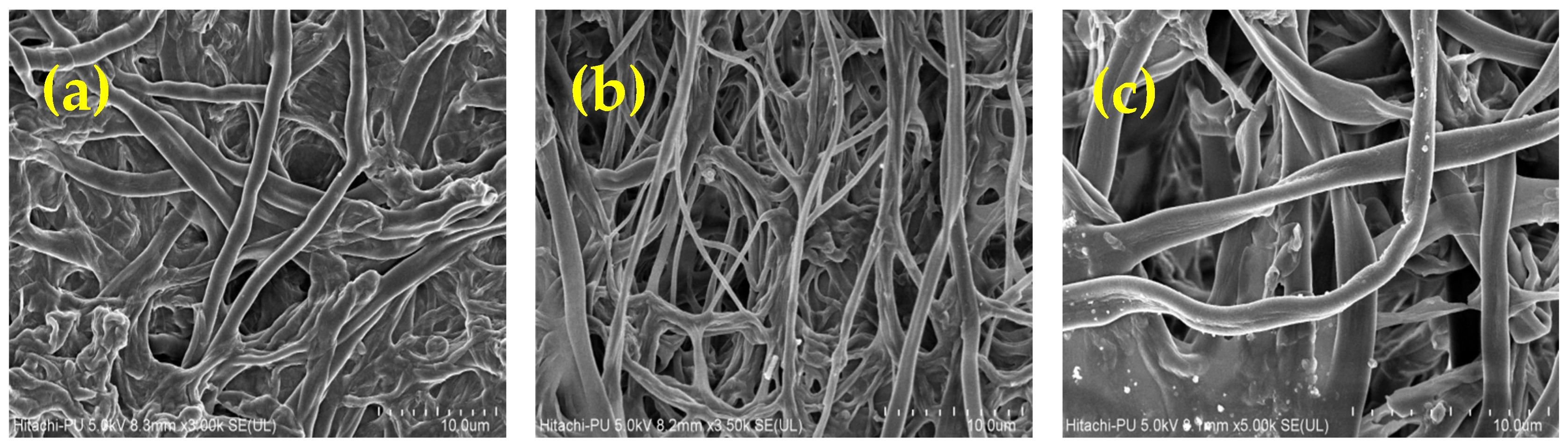 Microorganisms 11 01435 g005 Microorganisms 11 01435 g005