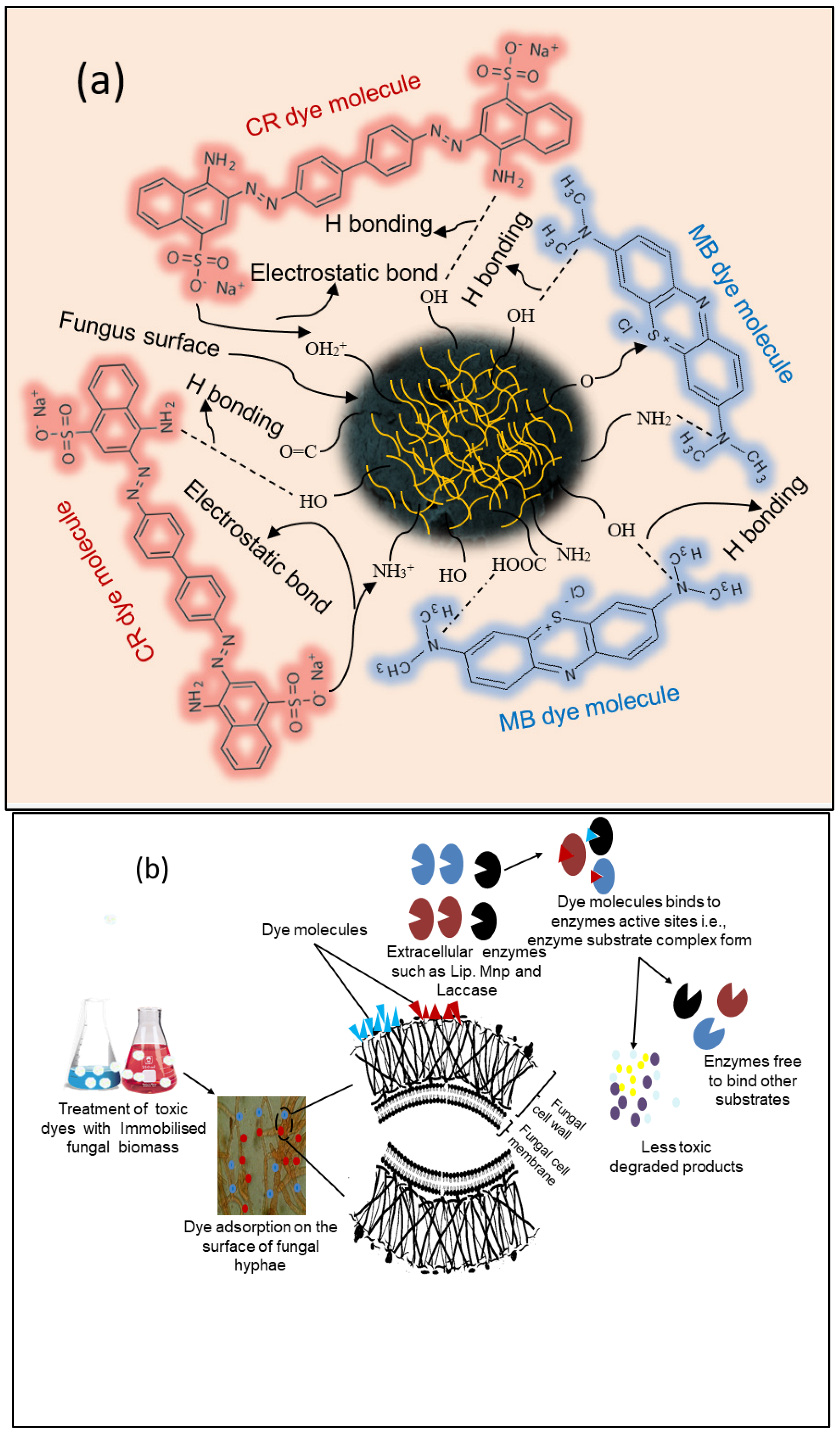 Microorganisms 11 01435 g010 Microorganisms 11 01435 g010