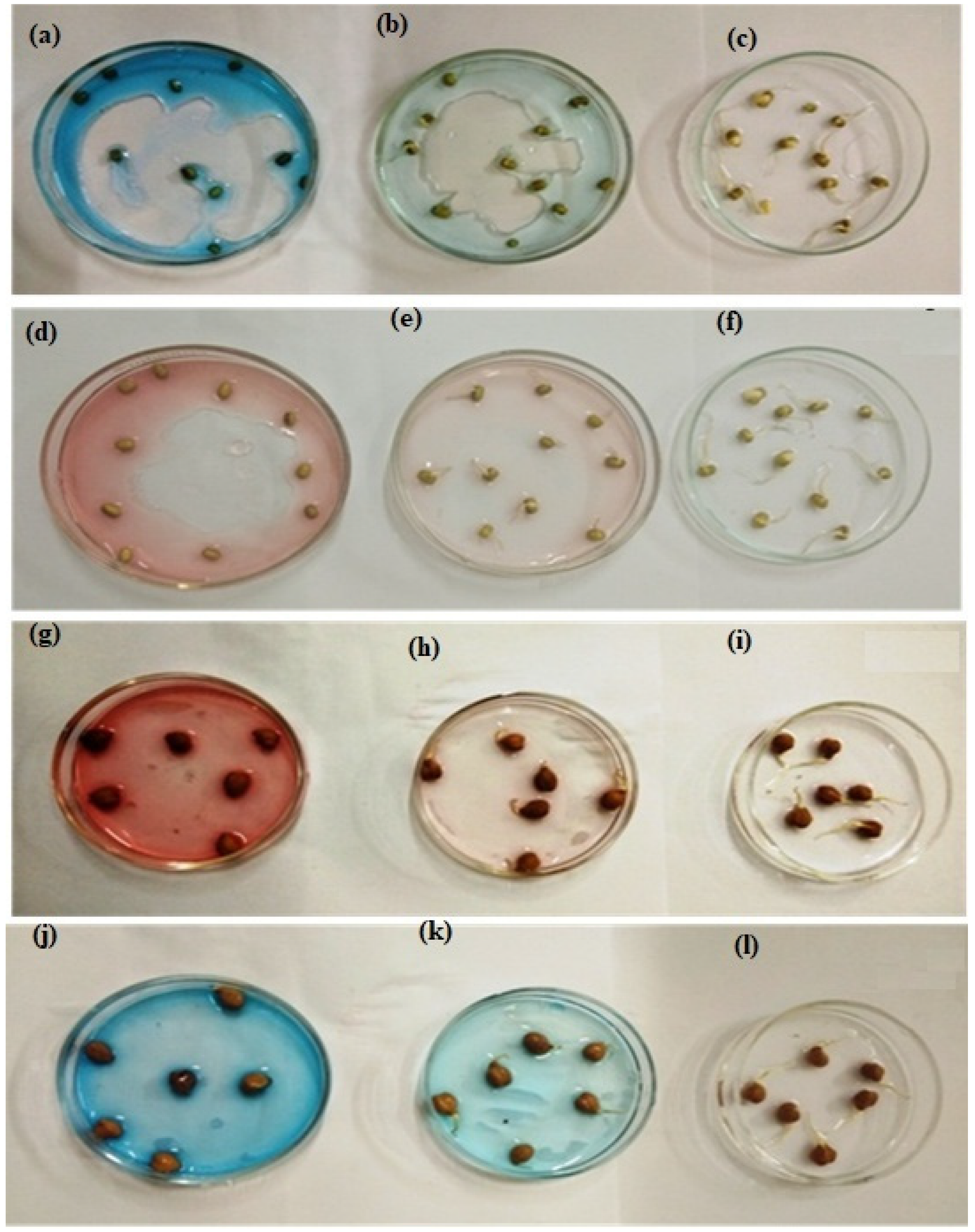 Microorganisms 11 01435 g011 Microorganisms 11 01435 g011